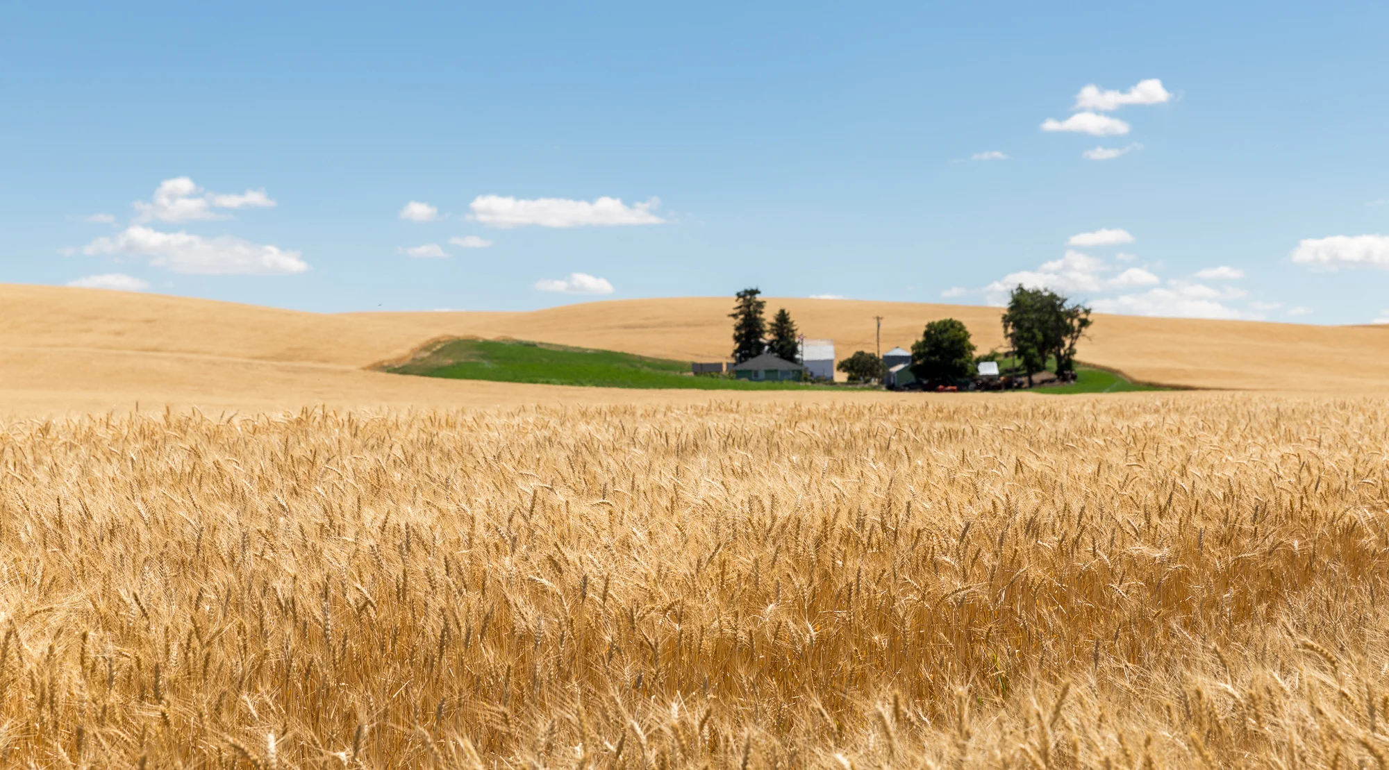 2016 0700 OR2OH.AES_5113.jpg