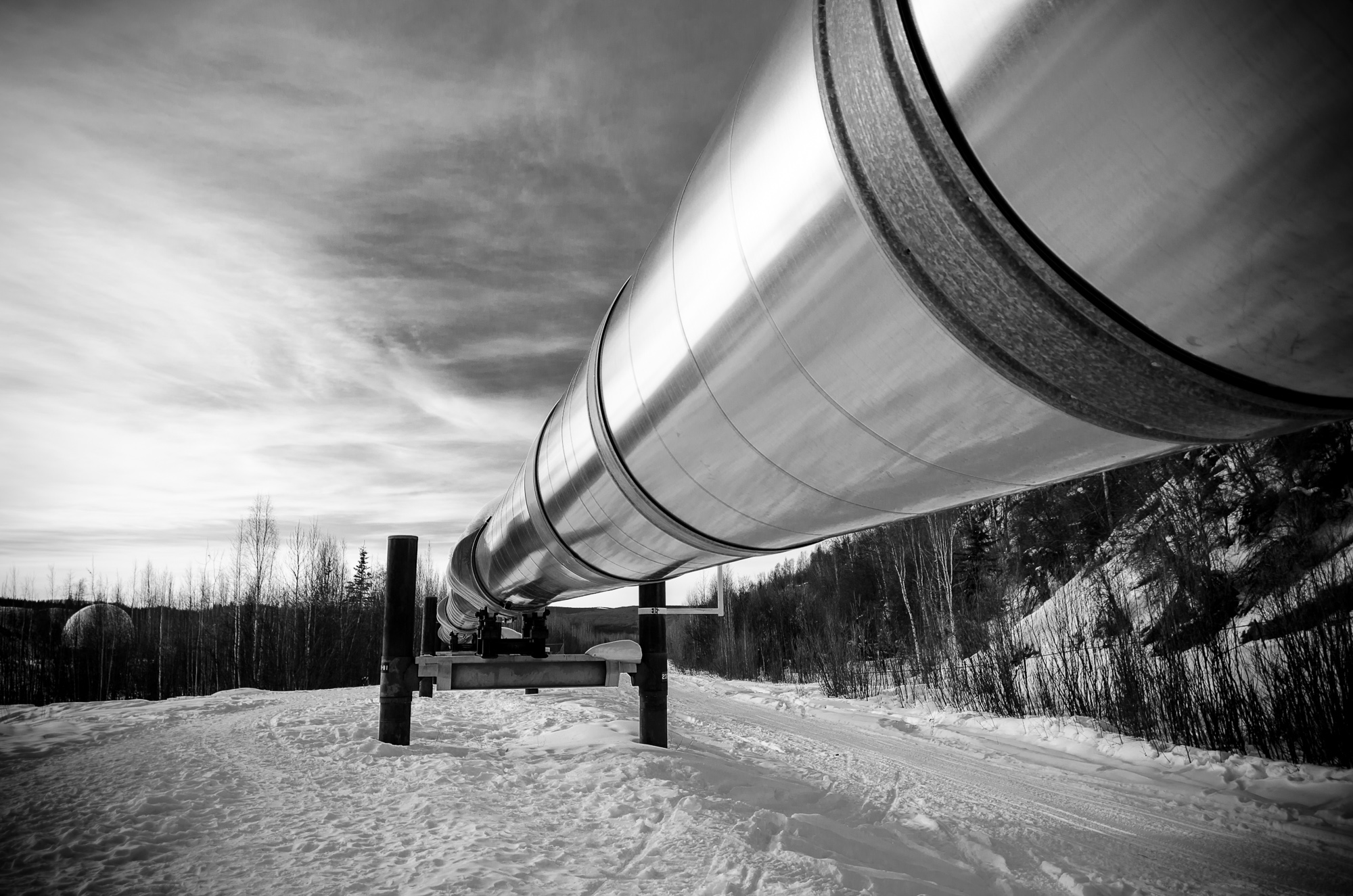 2012 0300 Alaska.DSC_0707.jpg