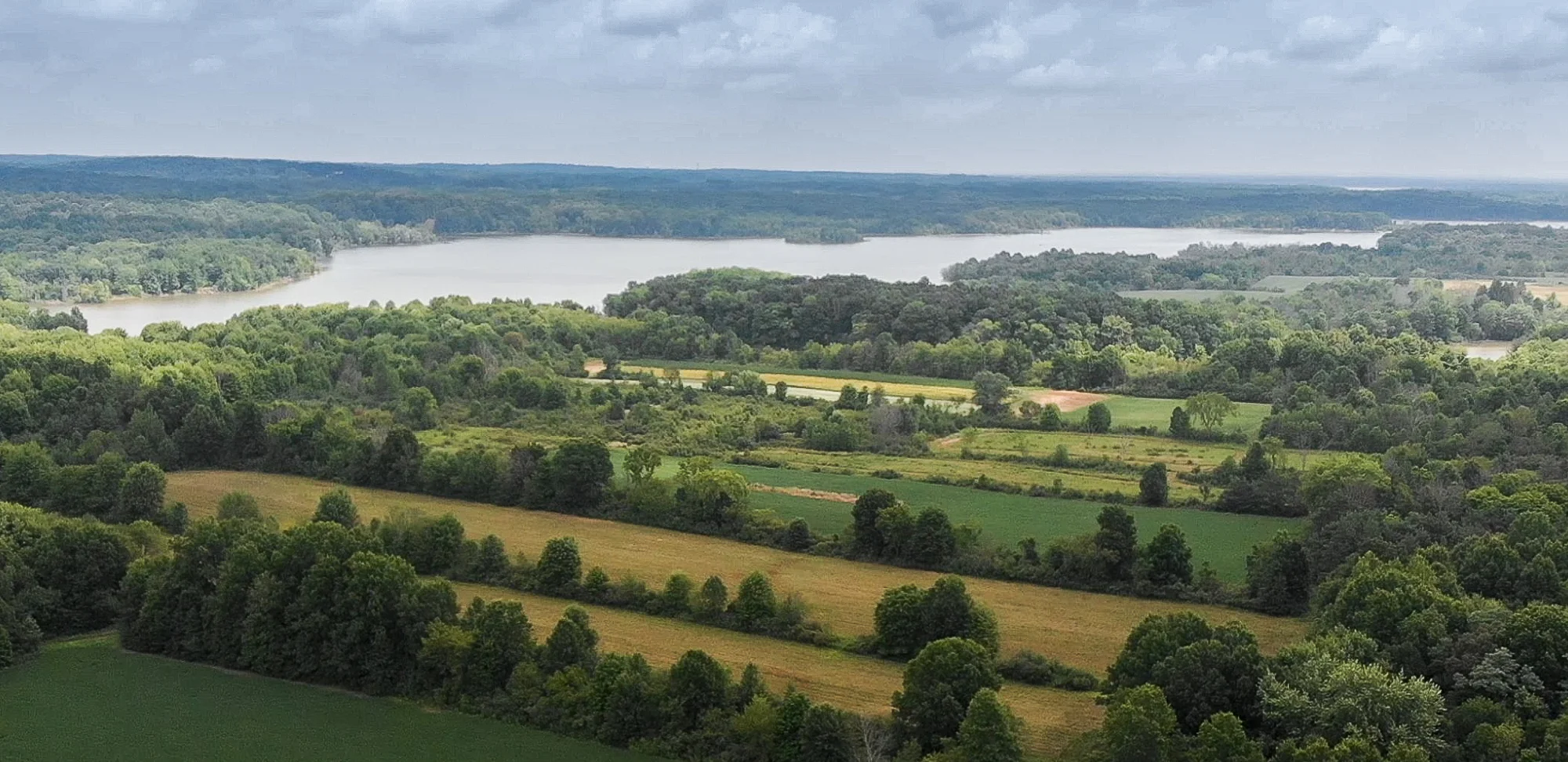 ScreenHunter_1285 Aug. 15 10.13.jpg