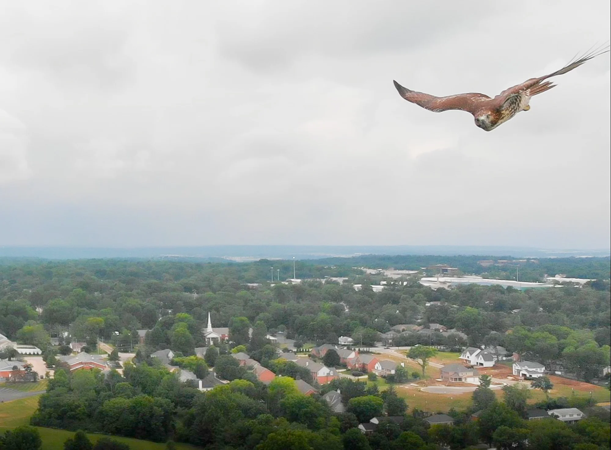 ScreenHunter_1243 Jul. 21 12.49.jpg