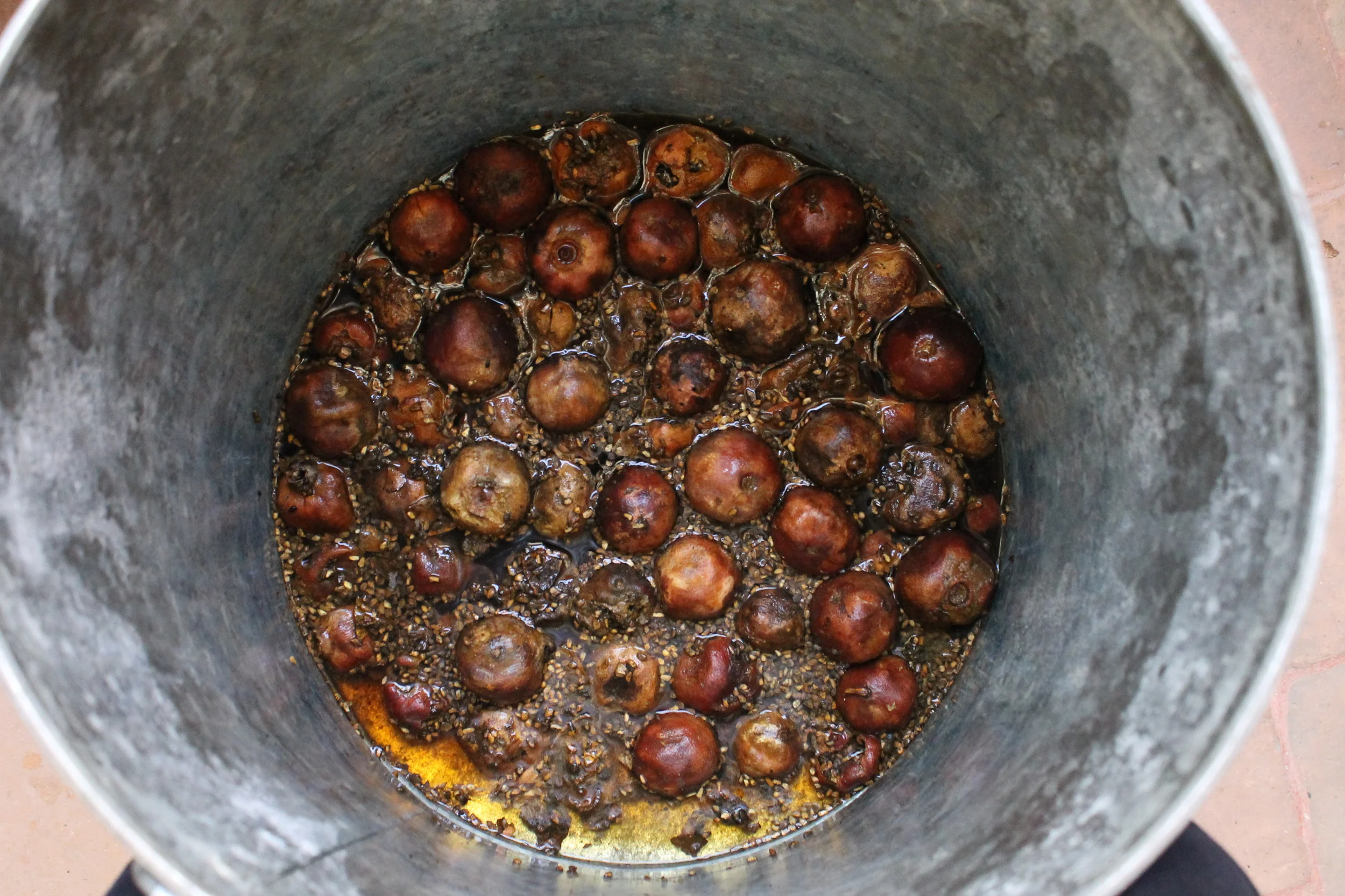 Dried pomegranates or la granada , soaking