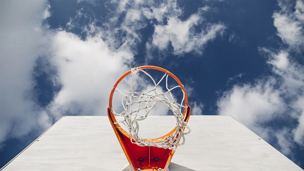 1.8.17_BASKETBALL NET.jpg