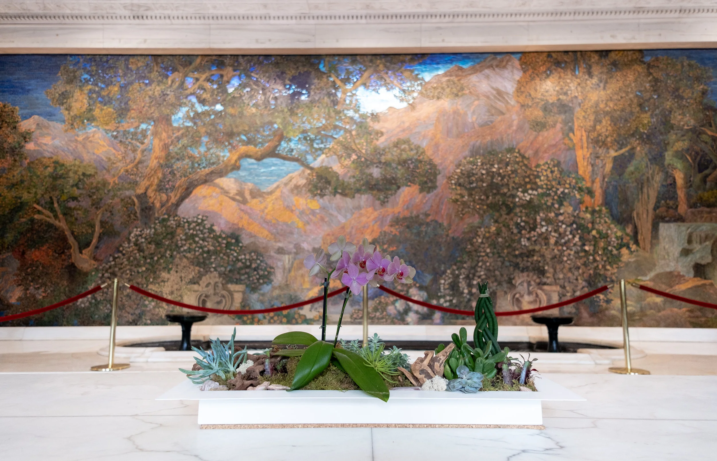 2019_THE DREAM GARDEN_THE PHILLY CHECKLIST-7.jpg