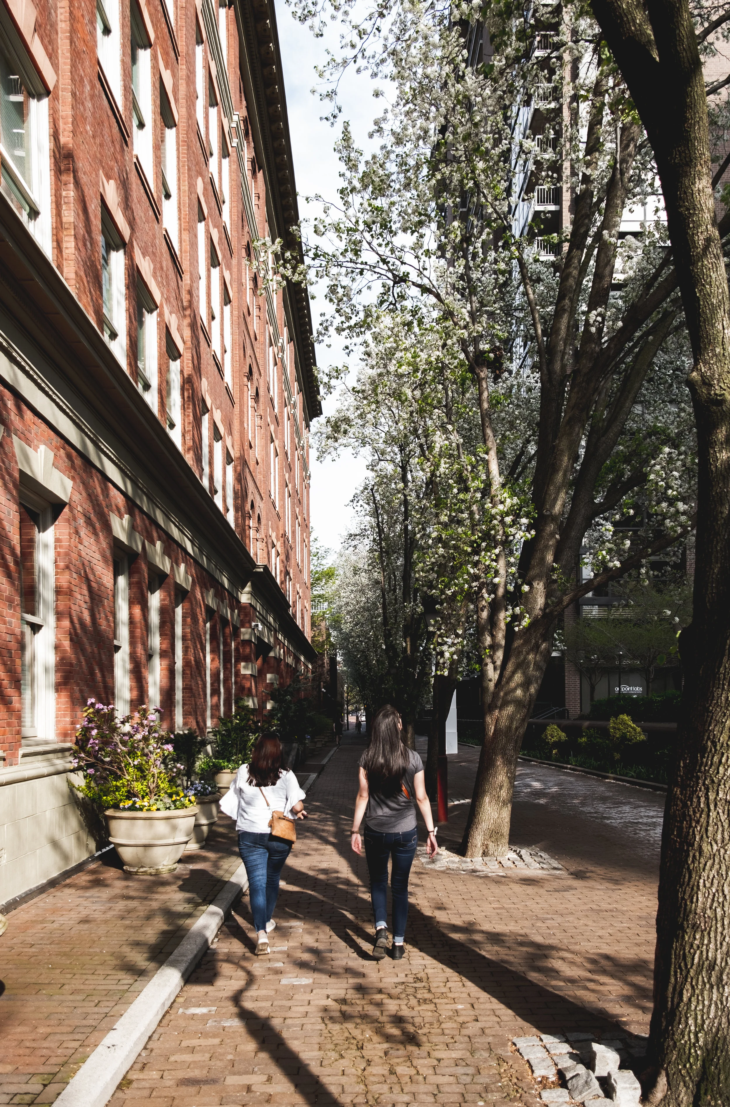 2019_TREES WALKWAY_THE PHILLY CHECKLIST-1.jpg