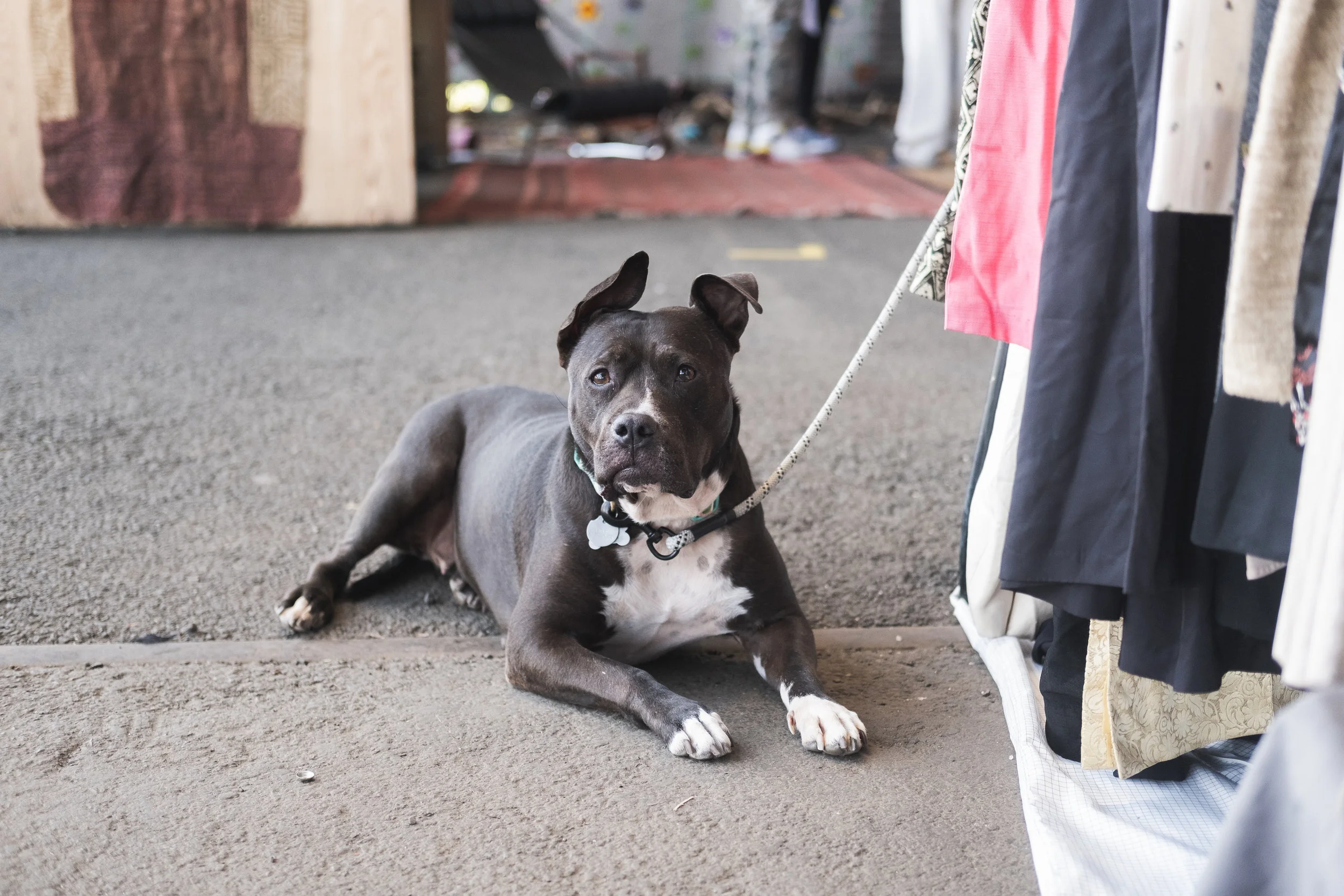 2019_CHERRY ST PIER_PHL FLEA MARKET_LOCATIONS_THE PHILLY CHECKLIST-5.jpg
