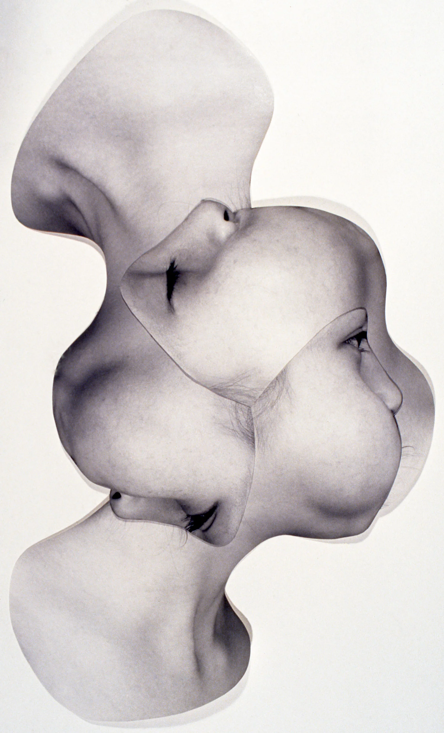 threeheads.jpg