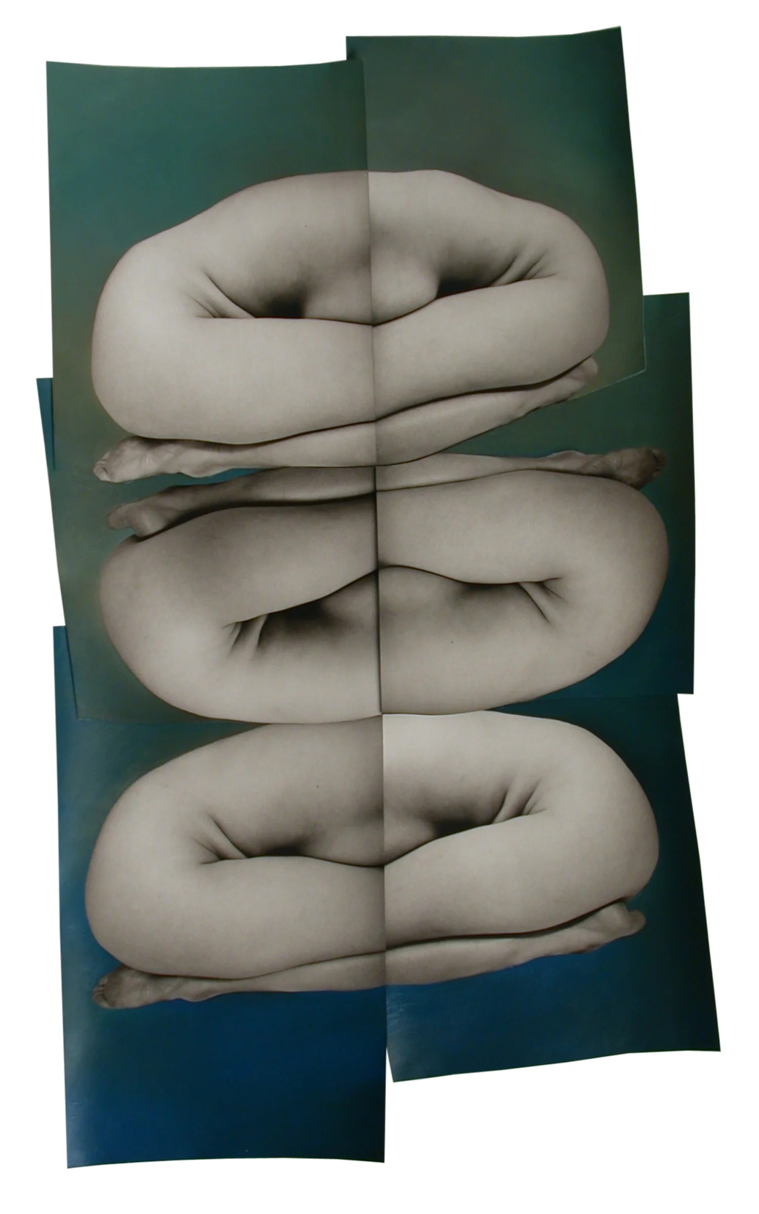   Reel no. 6.3 , 2002  unique collage with gelatin silver prints and oil paint  18.5 x 10 inches 