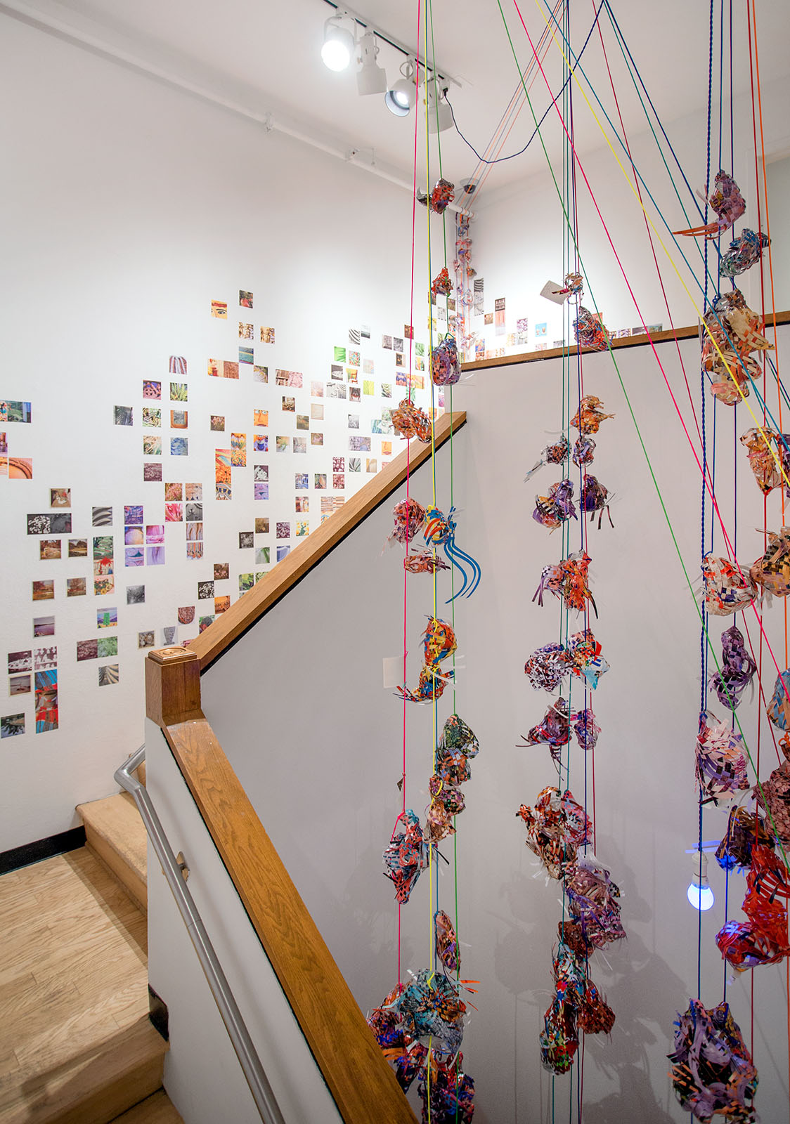   Collecting Within , 2016  cut-up inkjet prints, paracord, mason line, wooden dowels, miniature clothespins, party lights  dimensions variable   MoCP at 40 , Museum of Contemporary Photography, Chicago, IL 