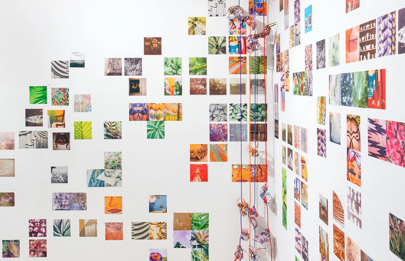   Collecting Within , 2016  cut-up inkjet prints, paracord, mason line, wooden dowels, miniature clothespins, party lights  dimensions variable   MoCP at 40 , Museum of Contemporary Photography, Chicago, IL 