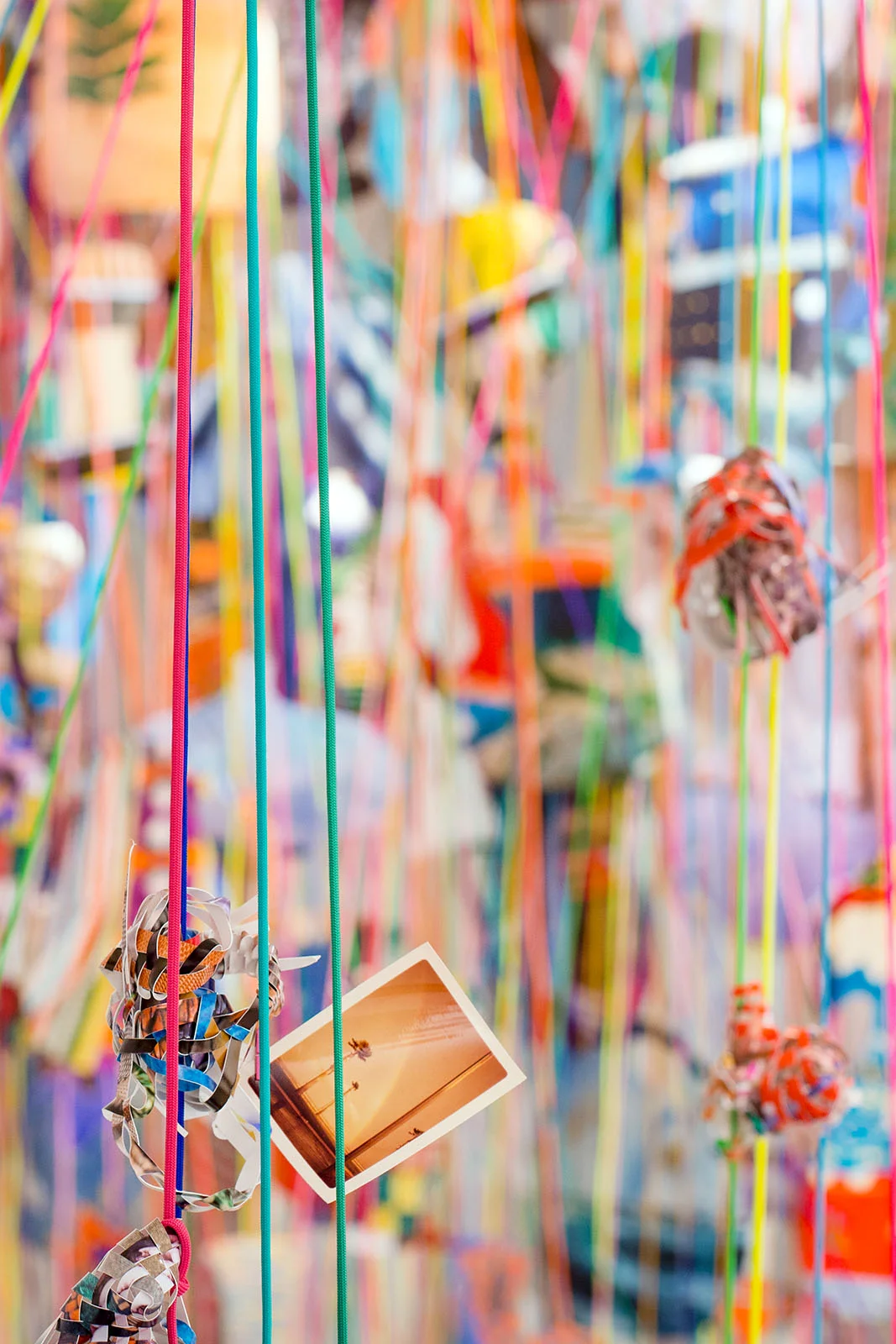   Collecting Within , 2016  cut-up inkjet prints, paracord, mason line, wooden dowels, miniature clothespins, party lights  dimensions variable   MoCP at 40 , Museum of Contemporary Photography, Chicago, IL 