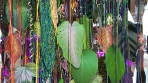  Gusts in the Hothouse, 2016  cut-up inkjet prints, paracord, miniature clothespins, grow lights, oscillating fan  5 x 5 x 7 feet   Gusts in the Hothouse , The Collection: Where Art Meets Fashion, Rosemont, IL 