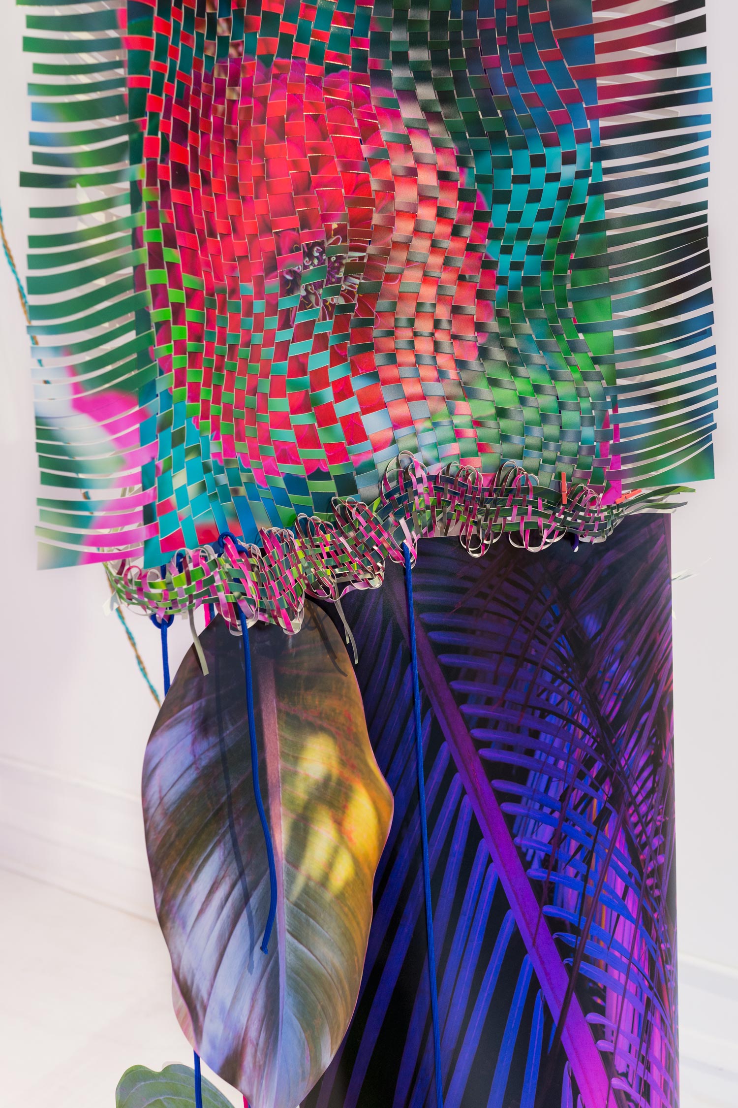   Cuttings , 2017  cut-up inkjet prints, vintage c-prints, paracord, carabiners, miniature clothespins, grow lights on fabric cord, with dried lemons, limes, and plants  dimensions variable   Cuttings , Platform Gallery, Evanston, IL 