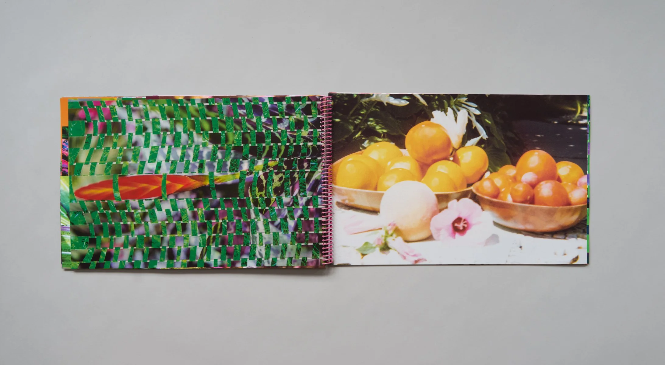 Cuttings , 2017 in collaboration with JENNIFER KEATS & THE DONUT SHOP Gardens portray time. Immaculately tended or grown wild; in public space or as private refuge, gardens are collections. Culled from the orderliness of scientific taxonomie