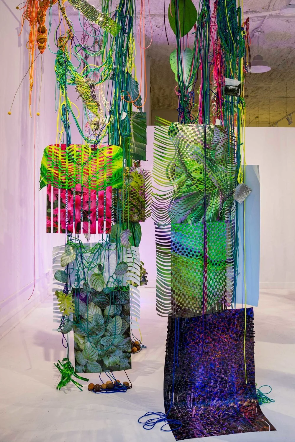 Cuttings_Beaubien_07.jpg