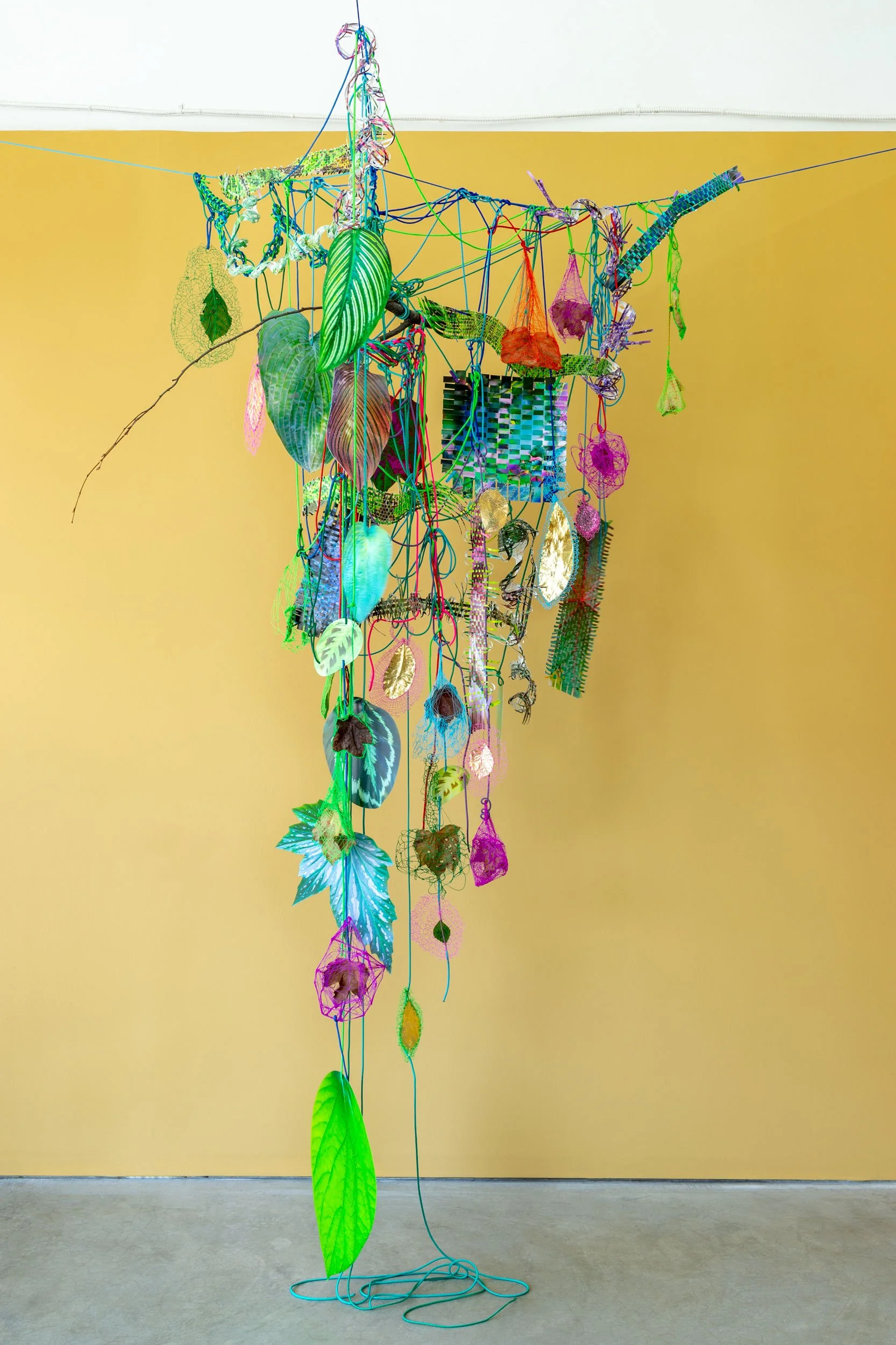   Plumb and Twining , 2020  cut-up inkjet prints, paracord, miniature clothespins, PLA filament leaf drawings, gilded leaves, branch  dimensions variable   Kismet , Monaco Gallery, Saint Louis, MO 