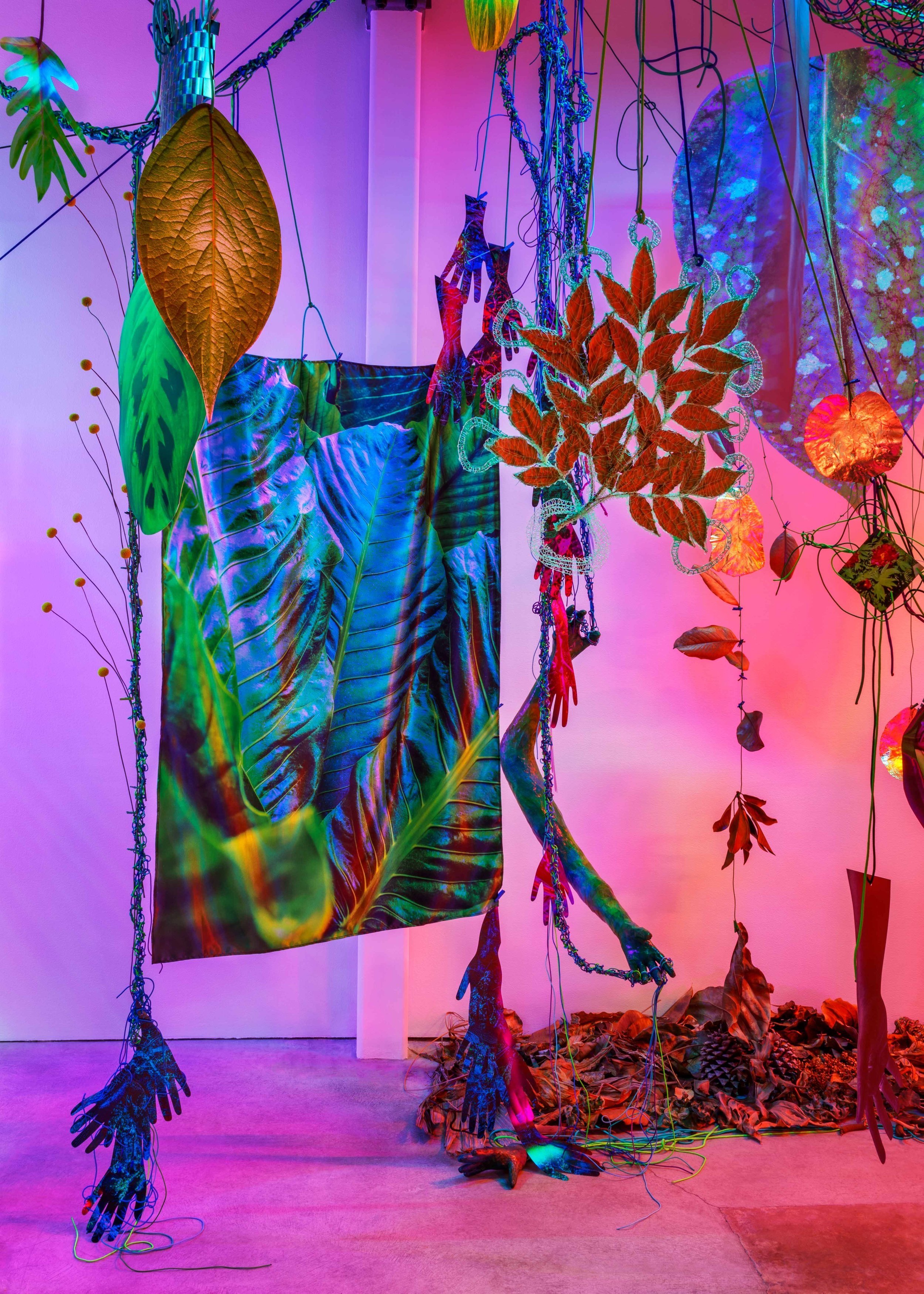   Matter in the Hothouse , 2022  cut and woven photographs, paracord, polymer chains, miniature clothespins, filament drawings, dried lemons, plant matter, vintage garden books, grow lights on fabric cord  dimensions variable  SF Camerawork at Minnes