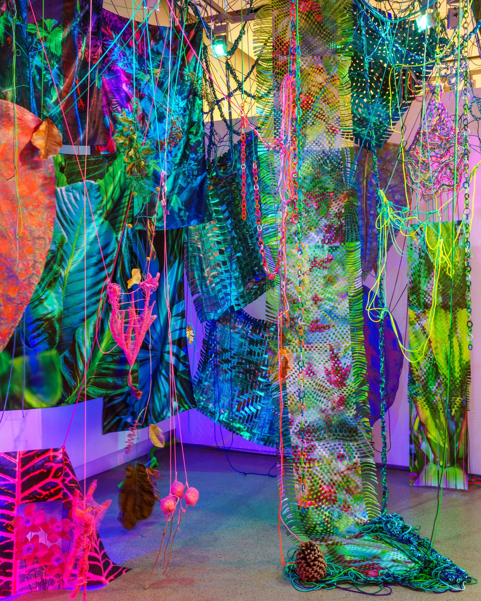 More Matter in the Hothouse, 2022 Photographs, paracord, miniature clothespins, botanical specimens, filtered light, grow lights Immersive installation, 330 sq. ft. Group exhibition Faculty Sabbatical Triennial Exhibition at SAIC Galleries, Chicago