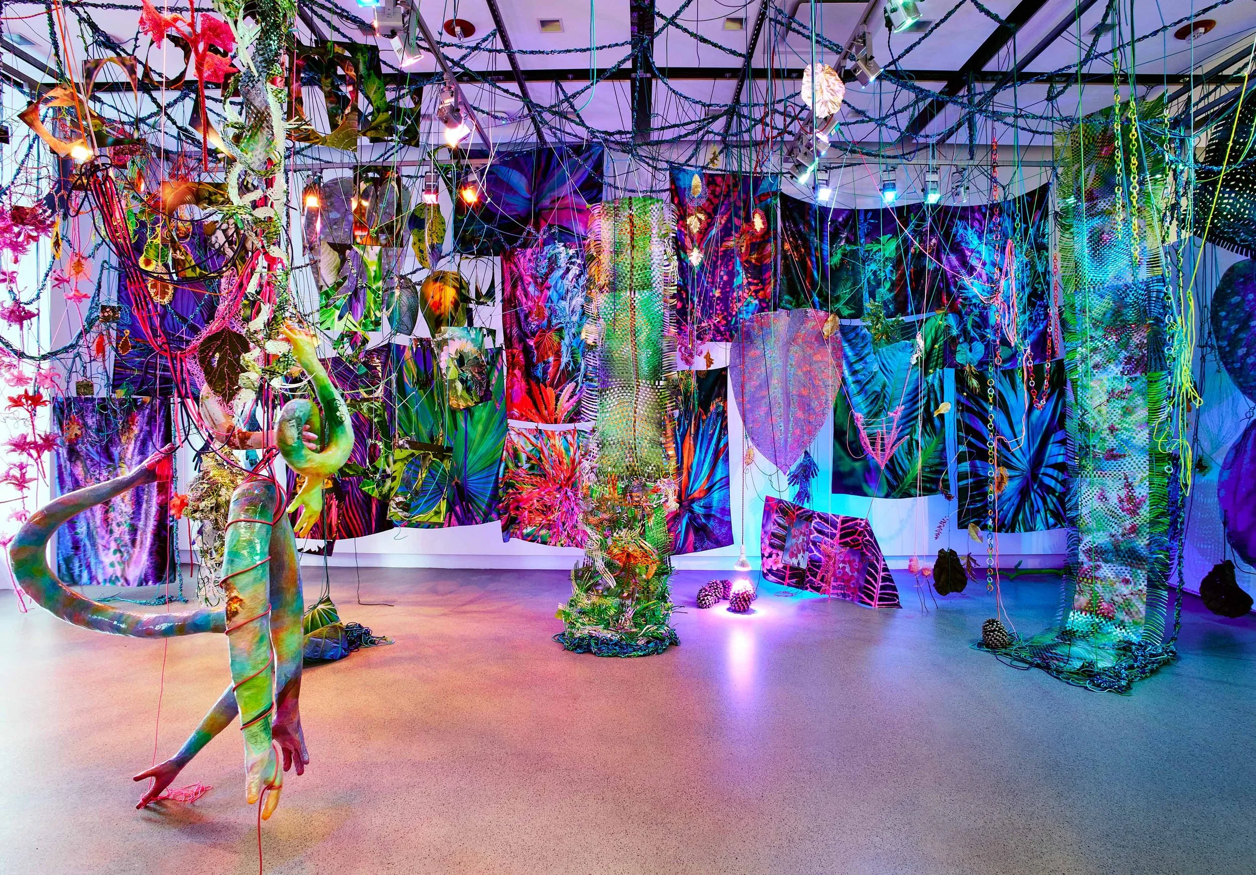 More Matter in the Hothouse, 2022 Photographs, paracord, miniature clothespins, botanical specimens, filtered light, grow lights Immersive installation, 330 sq. ft. Group exhibition Faculty Sabbatical Triennial Exhibition at SAIC Galleries, Chicago