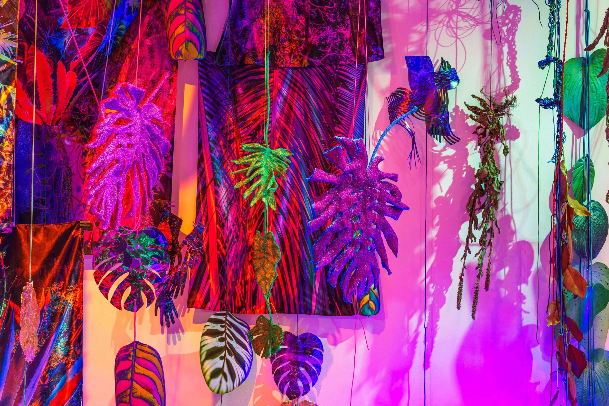 Into the Hothouse, 2023 Photographs, paracord, bioplastic, miniature clothespins, botanical specimens, grow lights, filtered light. One view of a 2000 square foot immersive installation with 10foot ceiling. Solo exhibition at Gillespie Gallery at M