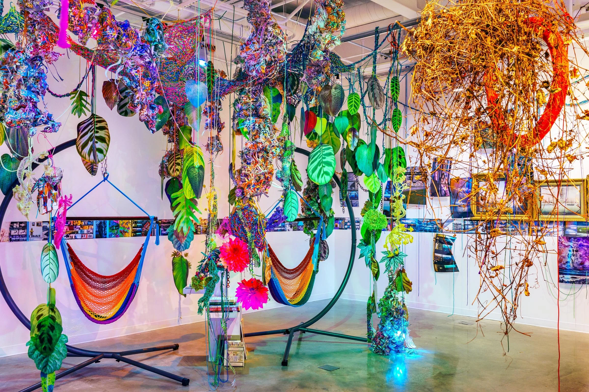 Into the Hothouse, 2023 Photographs, paracord, bioplastic, miniature clothespins, botanical specimens, grow lights, filtered light. One view of a 2000 square foot immersive installation with 10foot ceiling. Solo exhibition at Gillespie Gallery at M
