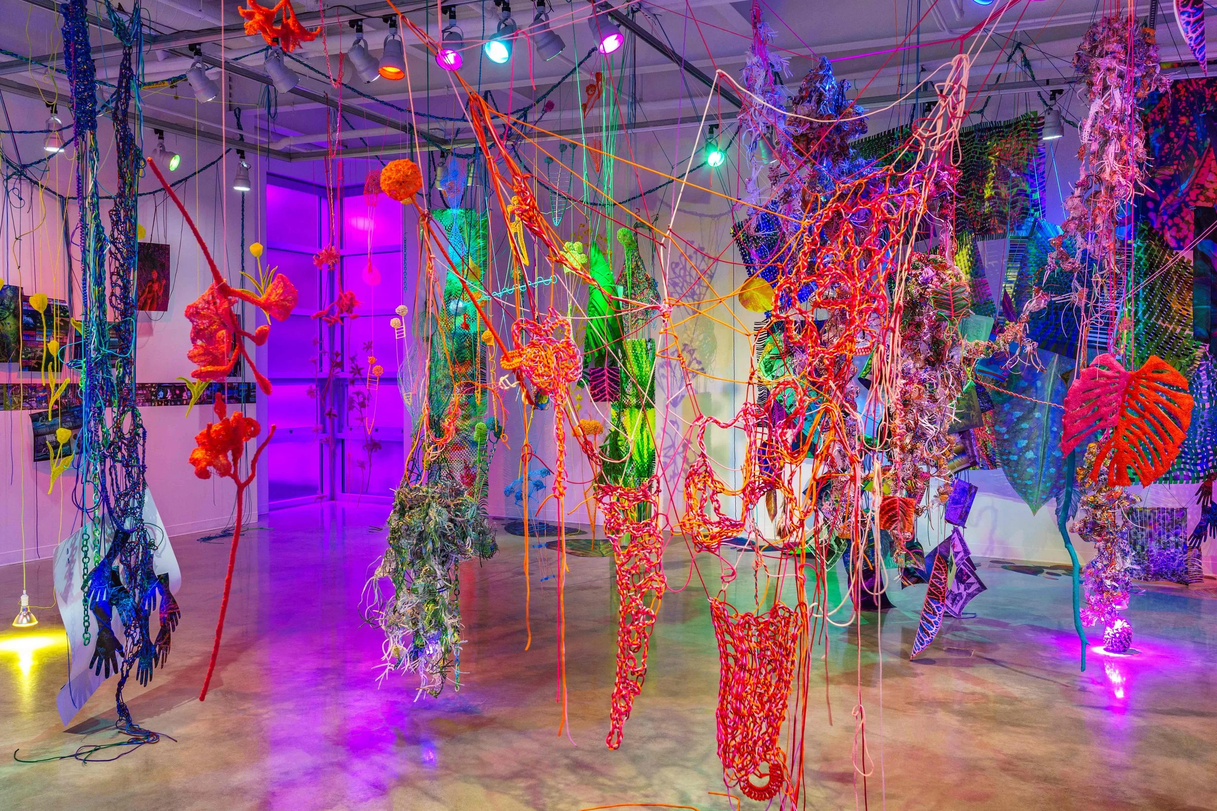 Into the Hothouse, 2023 Photographs, paracord, bioplastic, miniature clothespins, botanical specimens, grow lights, filtered light. One view of a 2000 square foot immersive installation with 10foot ceiling. Solo exhibition at Gillespie Gallery at M