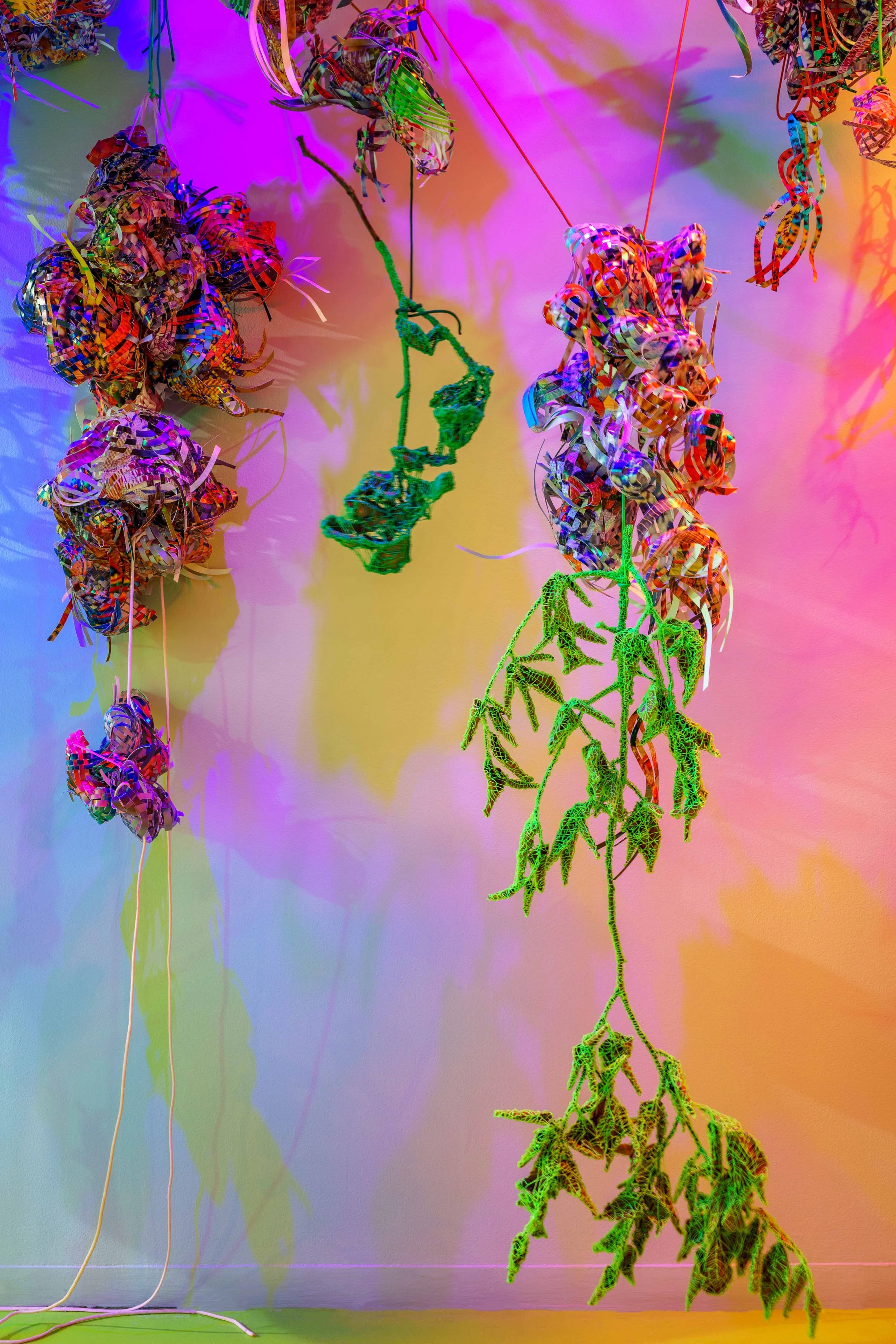 Through the Hothouse (detail), 2024 Photographs, paracord, miniature clothespins, papier-mâché, bioplastic, gold leaf, botanical specimens, grow lights, filtered light. Details from a 92-foot-long immersive installation transforming a vital hallwa