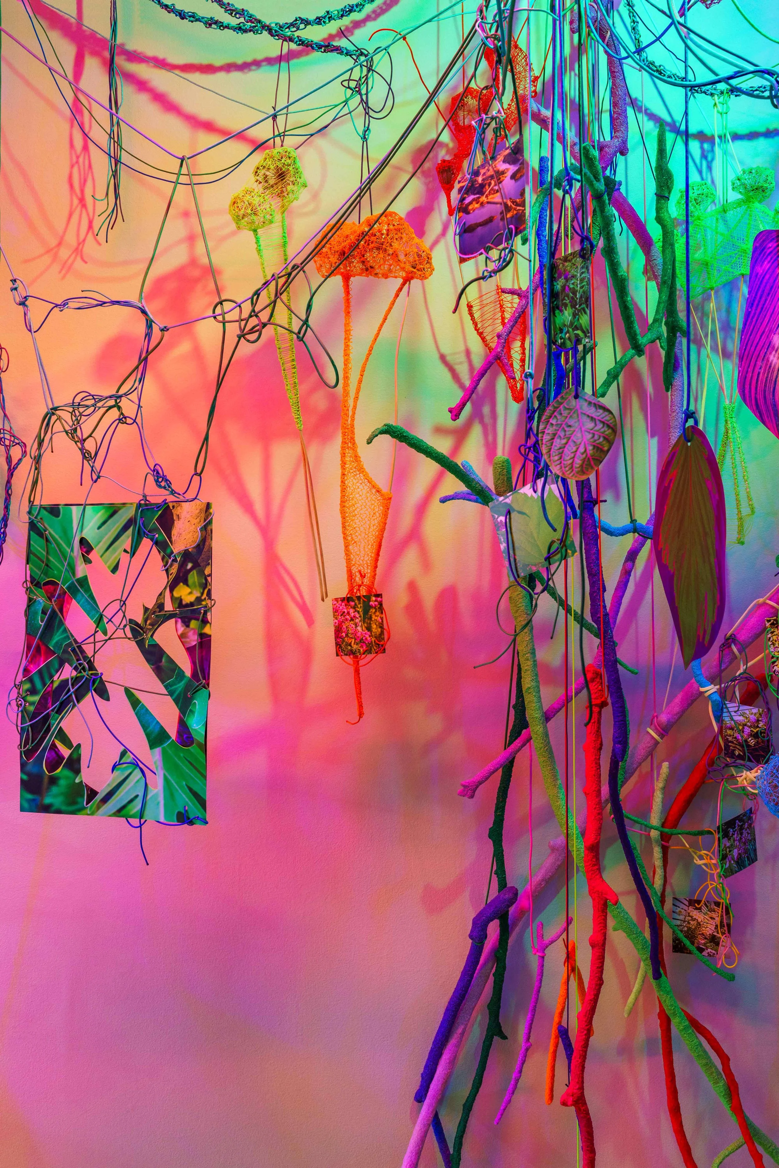 Through the Hothouse (detail), 2024 Photographs, paracord, miniature clothespins, papier-mâché, bioplastic, gold leaf, botanical specimens, grow lights, filtered light. Details from a 92-foot-long immersive installation transforming a vital hallwa