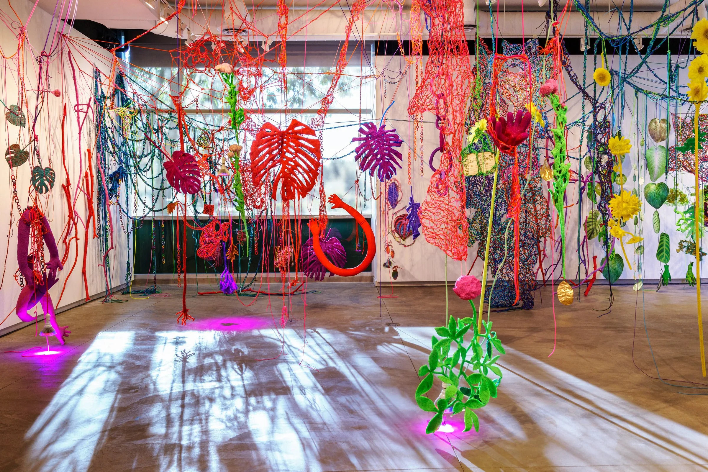  With Sunflowers in the Hothouse, 2024  Photographs, paracord, miniature clothespins, bioplastic, gold leaf, botanical specimens, book, grow lights.  Immersive installation, 750 sq. ft. Solo exhibition at Seerveld Gallery, Palos Heights, IL  My work 