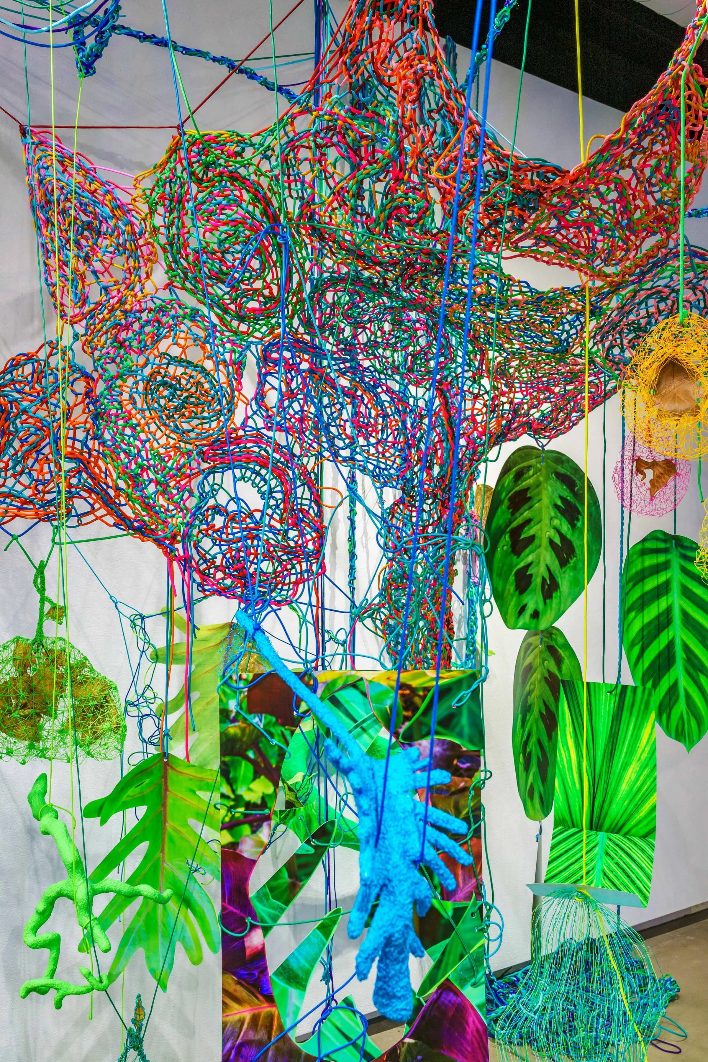  With Sunflowers in the Hothouse, 2024  Photographs, paracord, miniature clothespins, bioplastic, gold leaf, botanical specimens, book, grow lights.  Immersive installation, 750 sq. ft. Solo exhibition at Seerveld Gallery, Palos Heights, IL  My work 