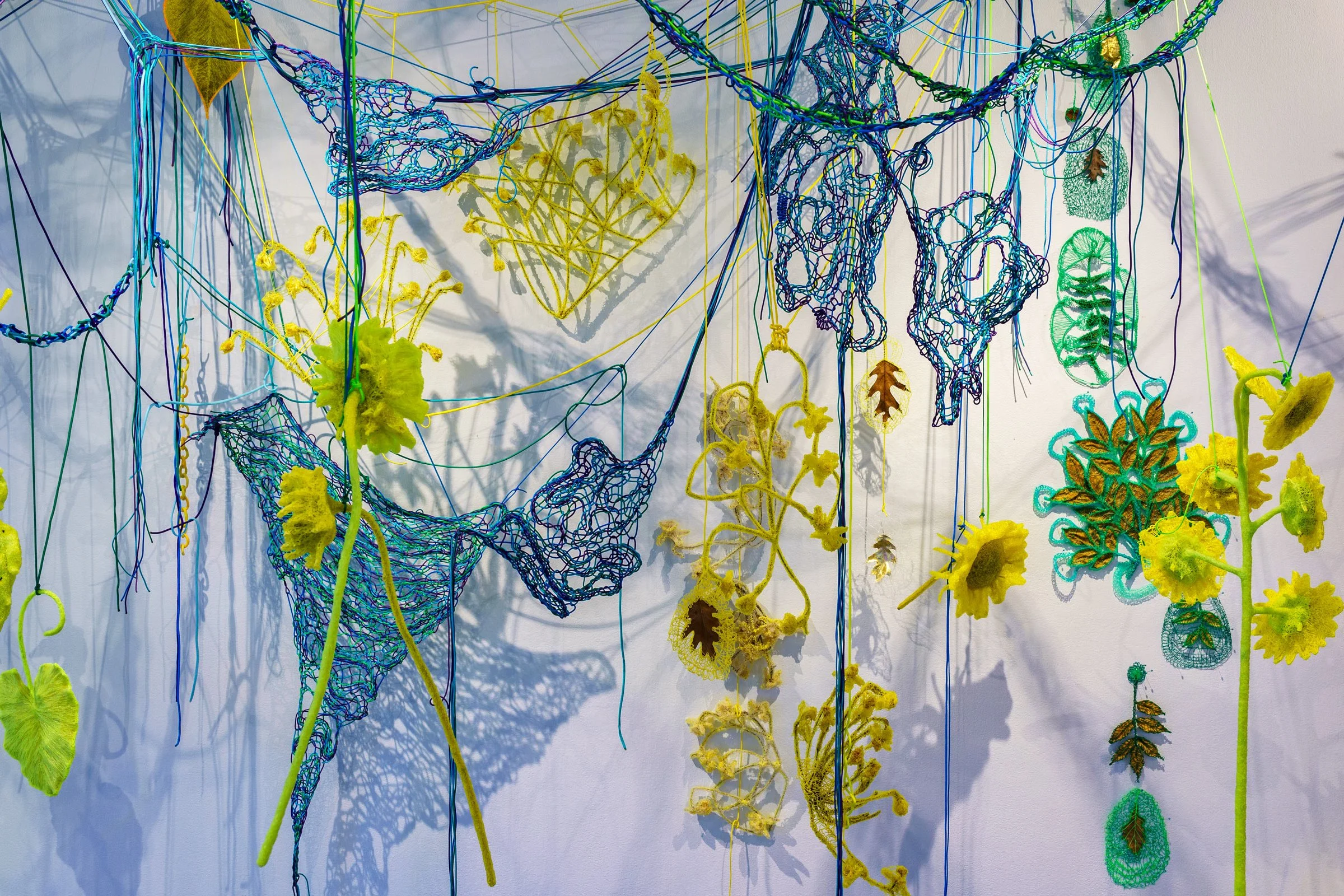  With Sunflowers in the Hothouse, 2024  Photographs, paracord, miniature clothespins, bioplastic, gold leaf, botanical specimens, book, grow lights.  Immersive installation, 750 sq. ft. Solo exhibition at Seerveld Gallery, Palos Heights, IL  My work 
