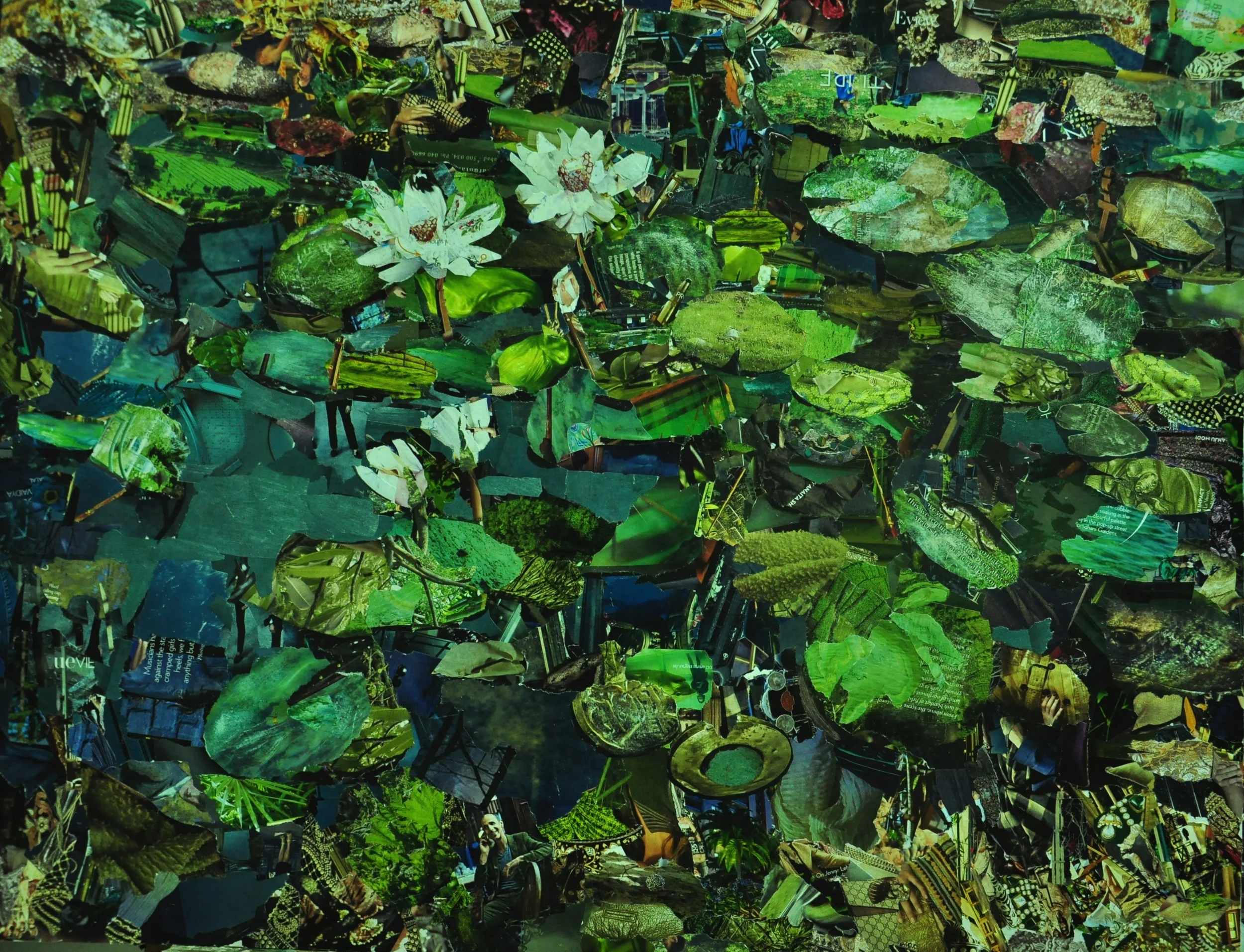 SUKANTA DASGUPTA, Water Lily
