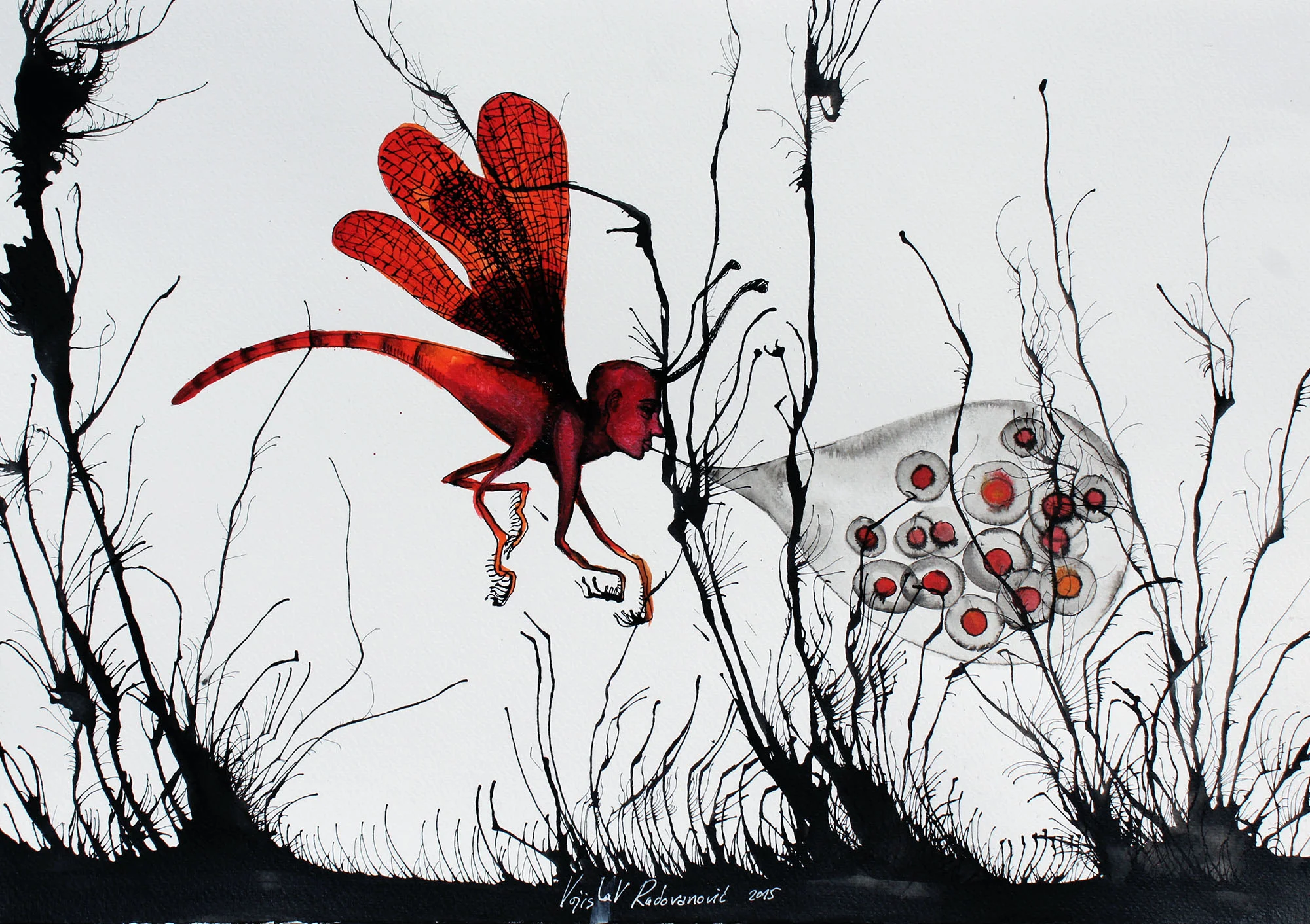 VOJISLAV RADOVANOVIC, Oviposition
