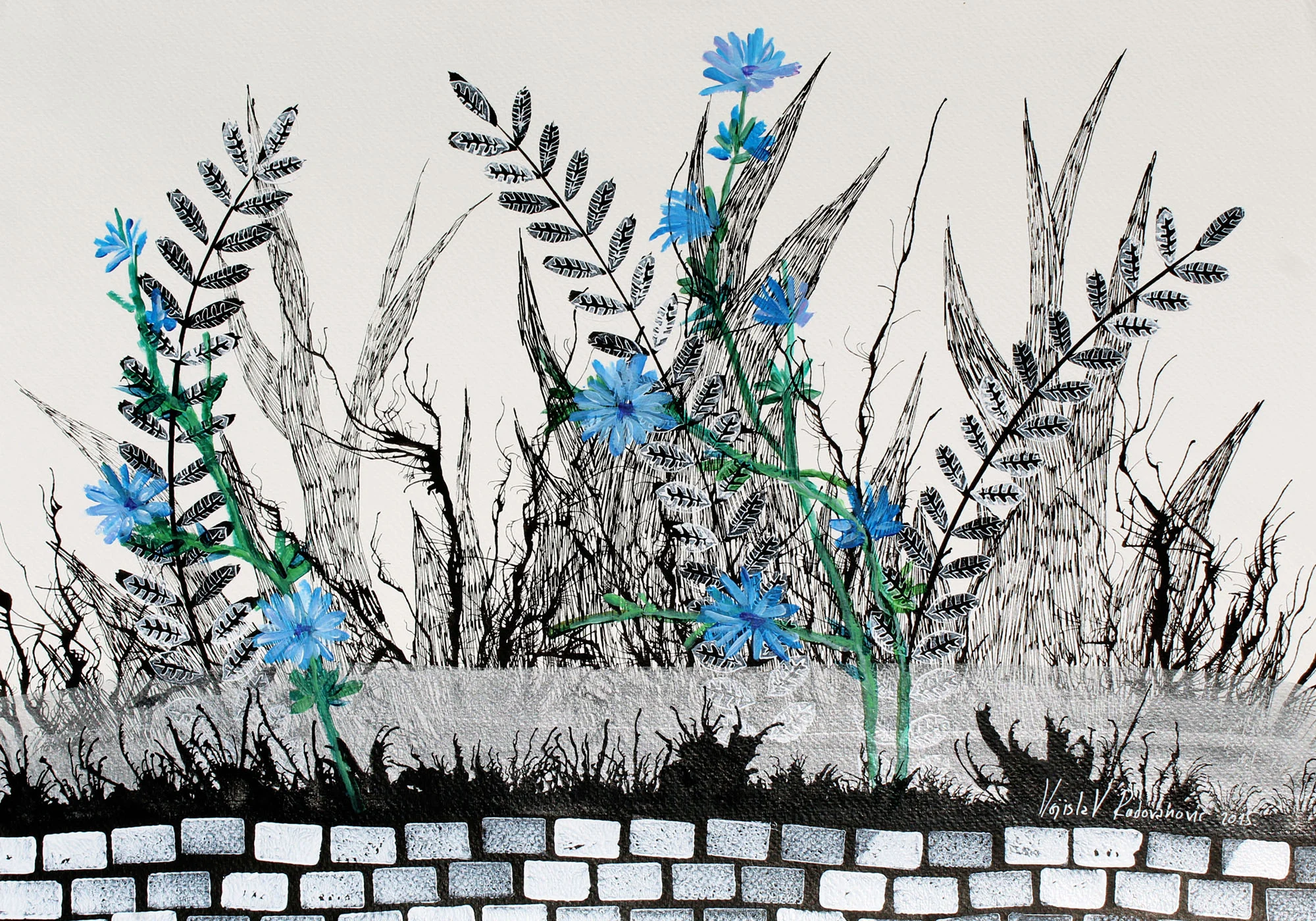 VOJISLAV RADOVANOVIC, Weed Flowers