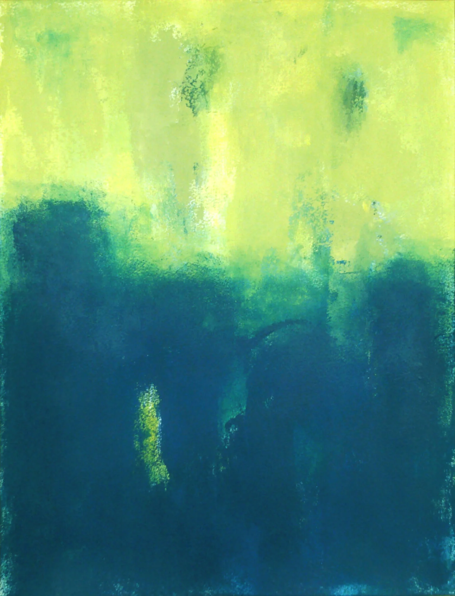 LUIS MEDINA MANSO, Wild Land