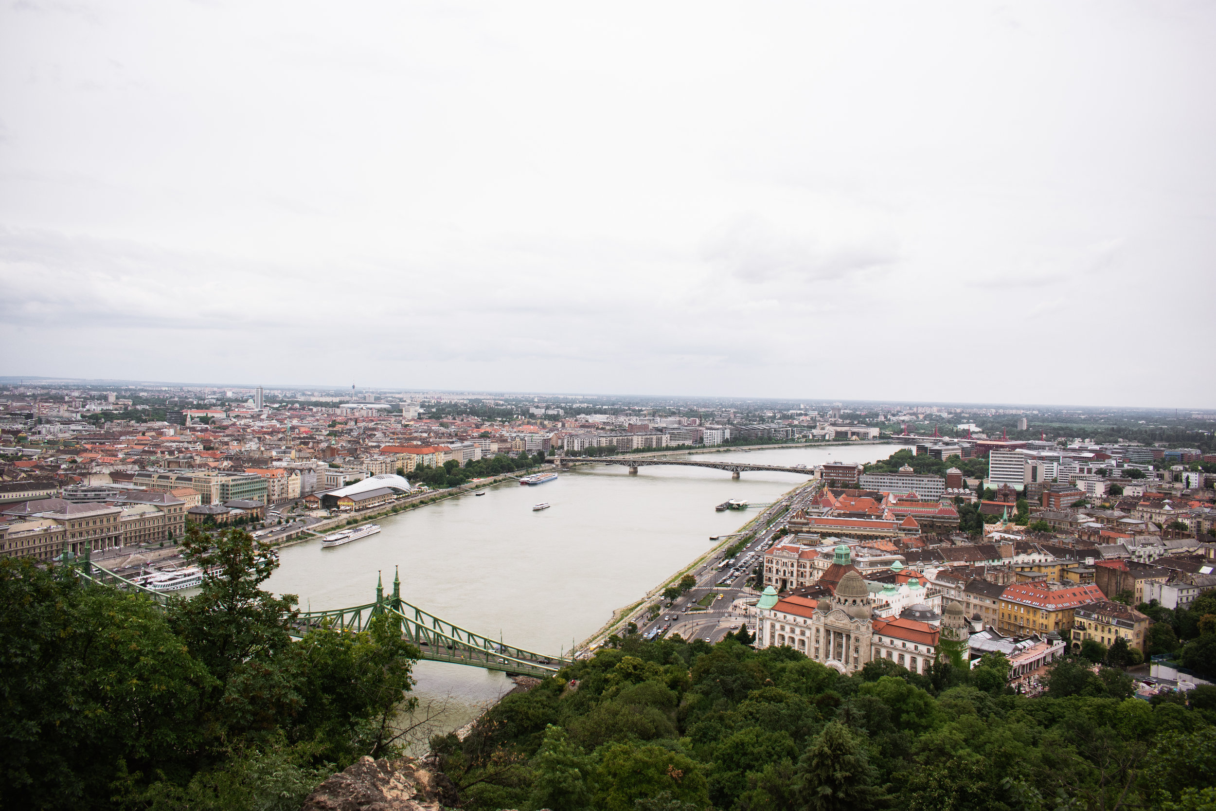 DSC_0192.jpg