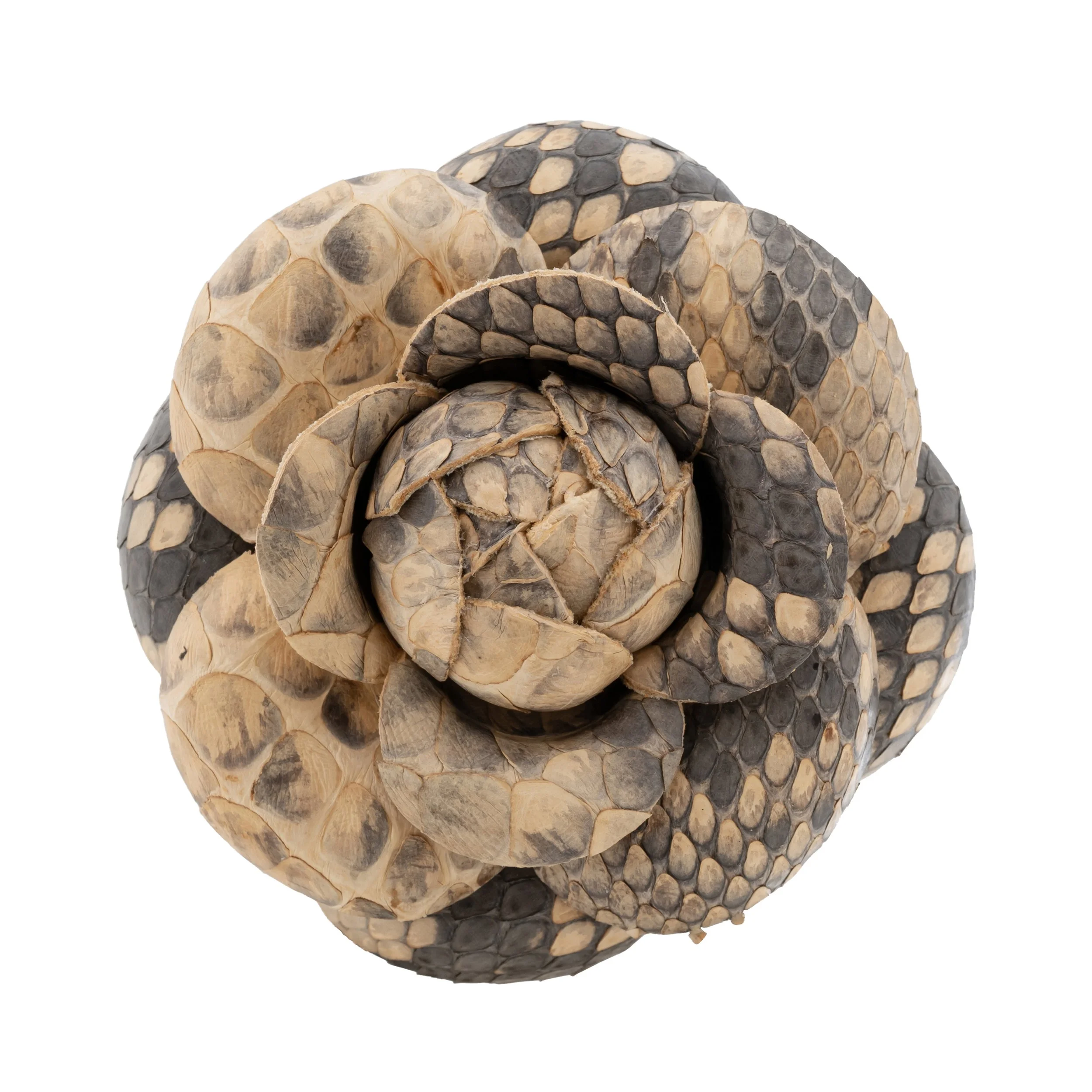 Fleur'd Pins Large Python Blooming Camellia - front.jpg