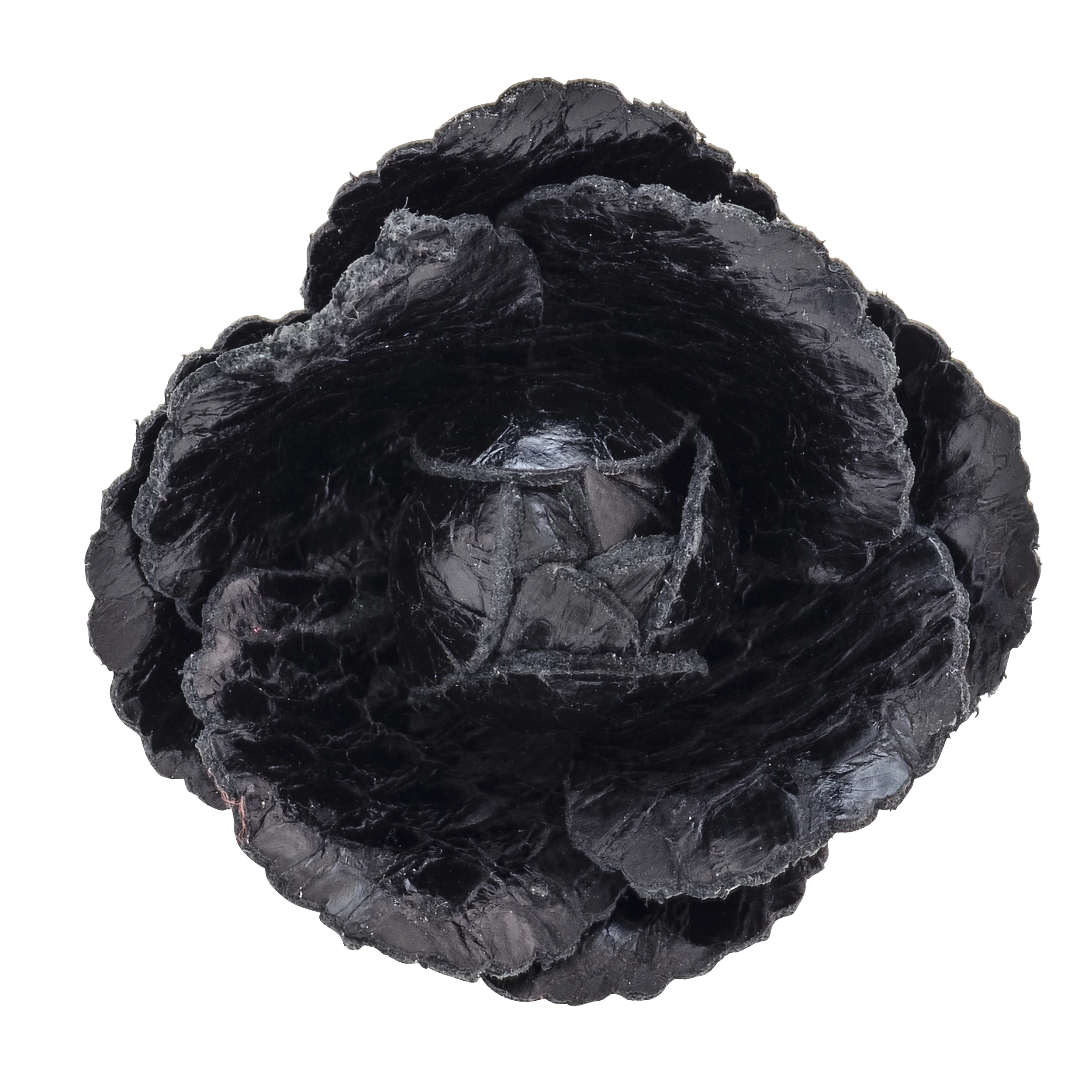 Fleur'd Pins Onyx Python Rose front.jpg