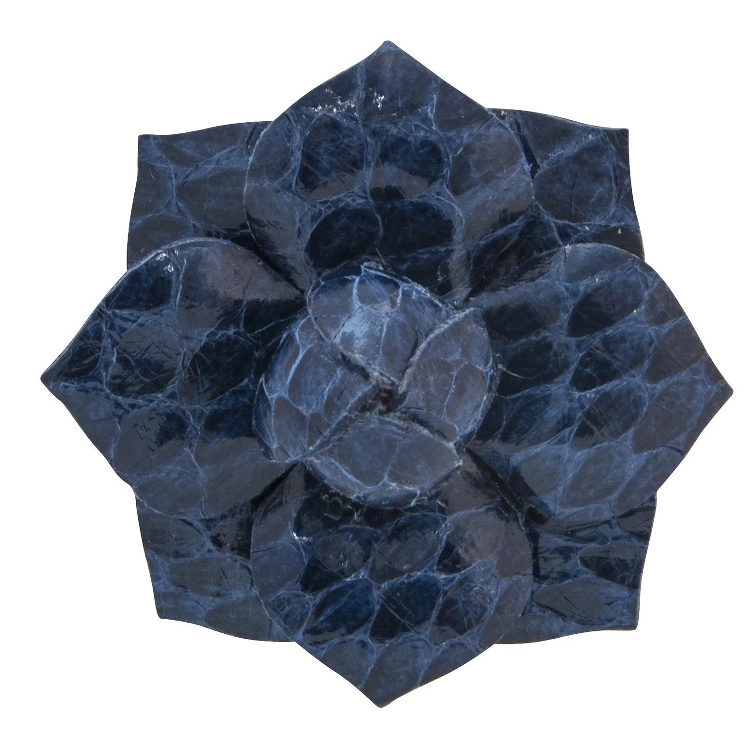 Fleur'd Pins Navy Python Magnolia - Front.jpg