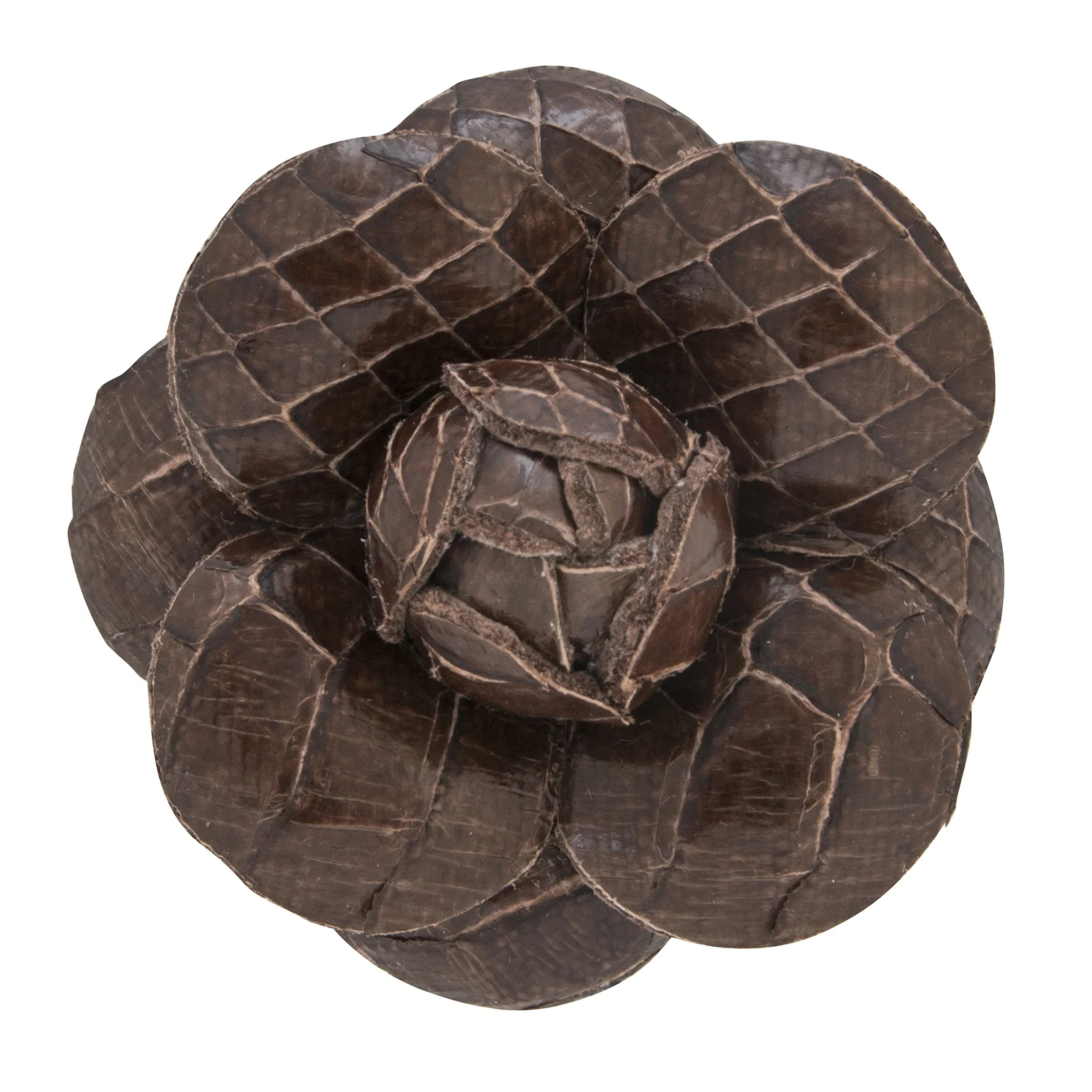 Fleur'd Pins Chocolate Python Camellia - Front.jpg