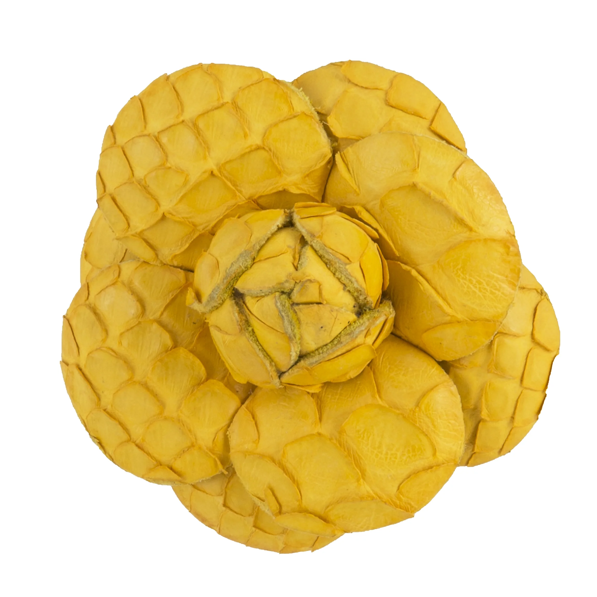 Canary Matte Python Camellia — FLEUR'D PINS