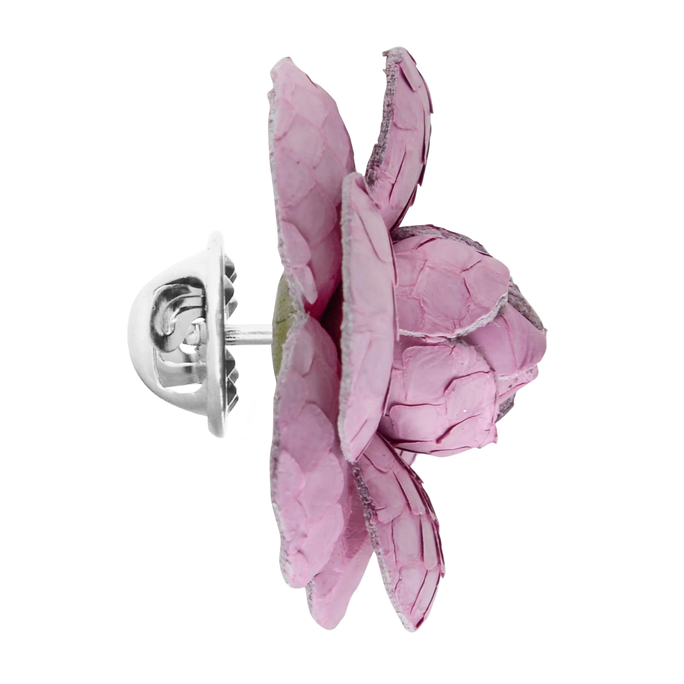 Fleur%27d+Pins+Baby+Pink+Python+Camellia+-+Profile.jpg