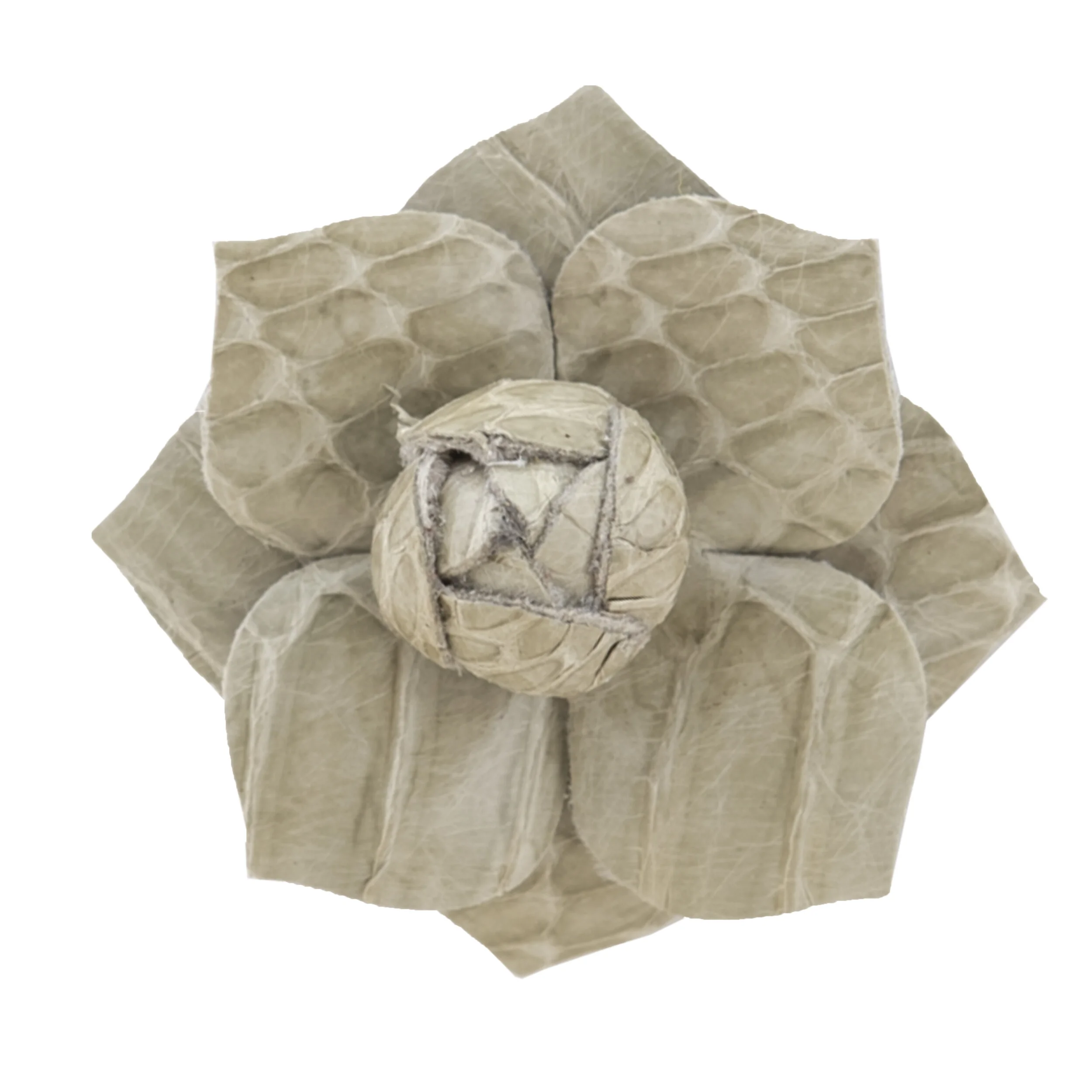 Fleur'd Pins Taupe Gloss Python Magnolia Front.jpg