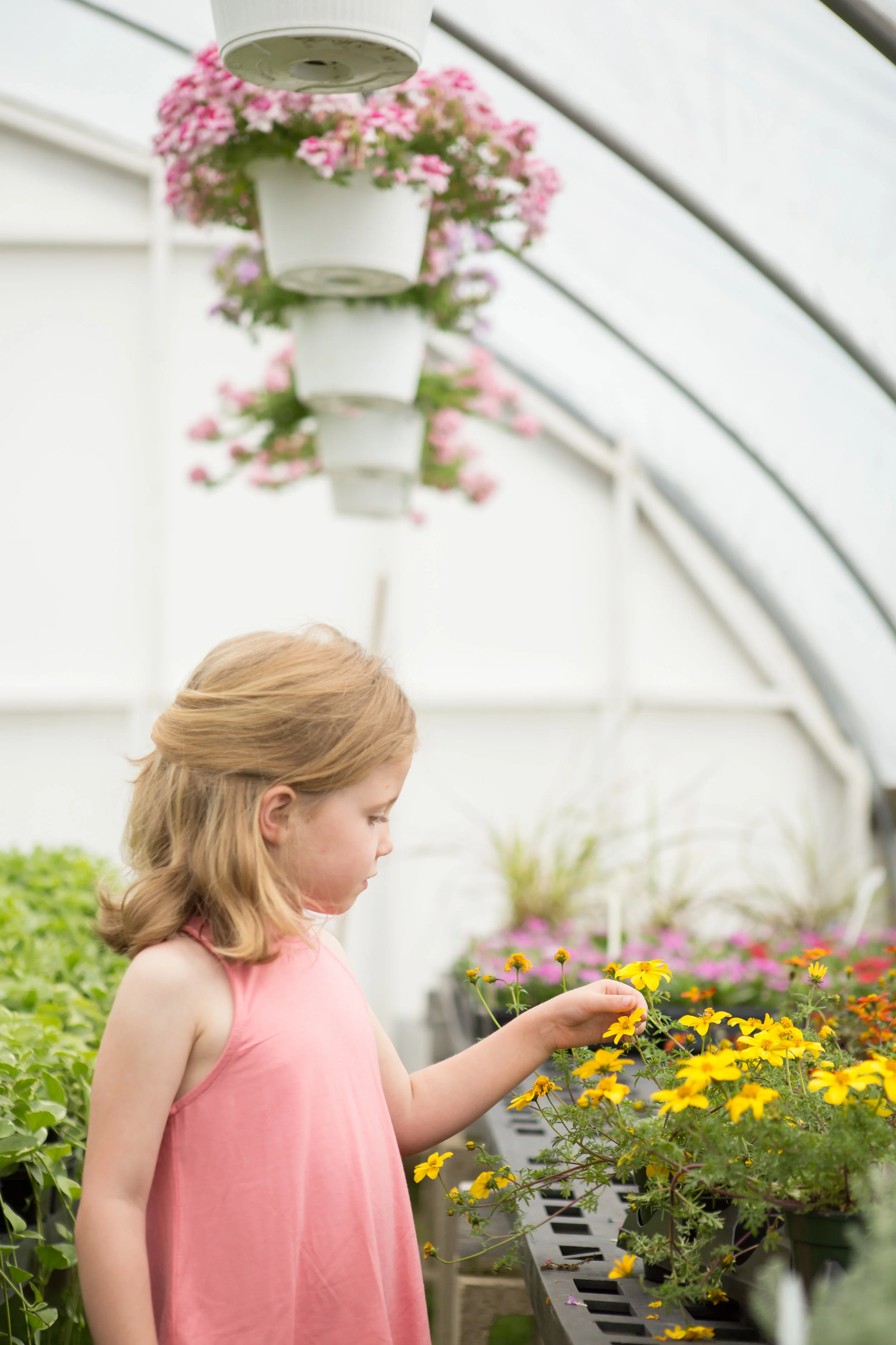 Ella + Olive's Greenhouse Session Boston Family Photographer