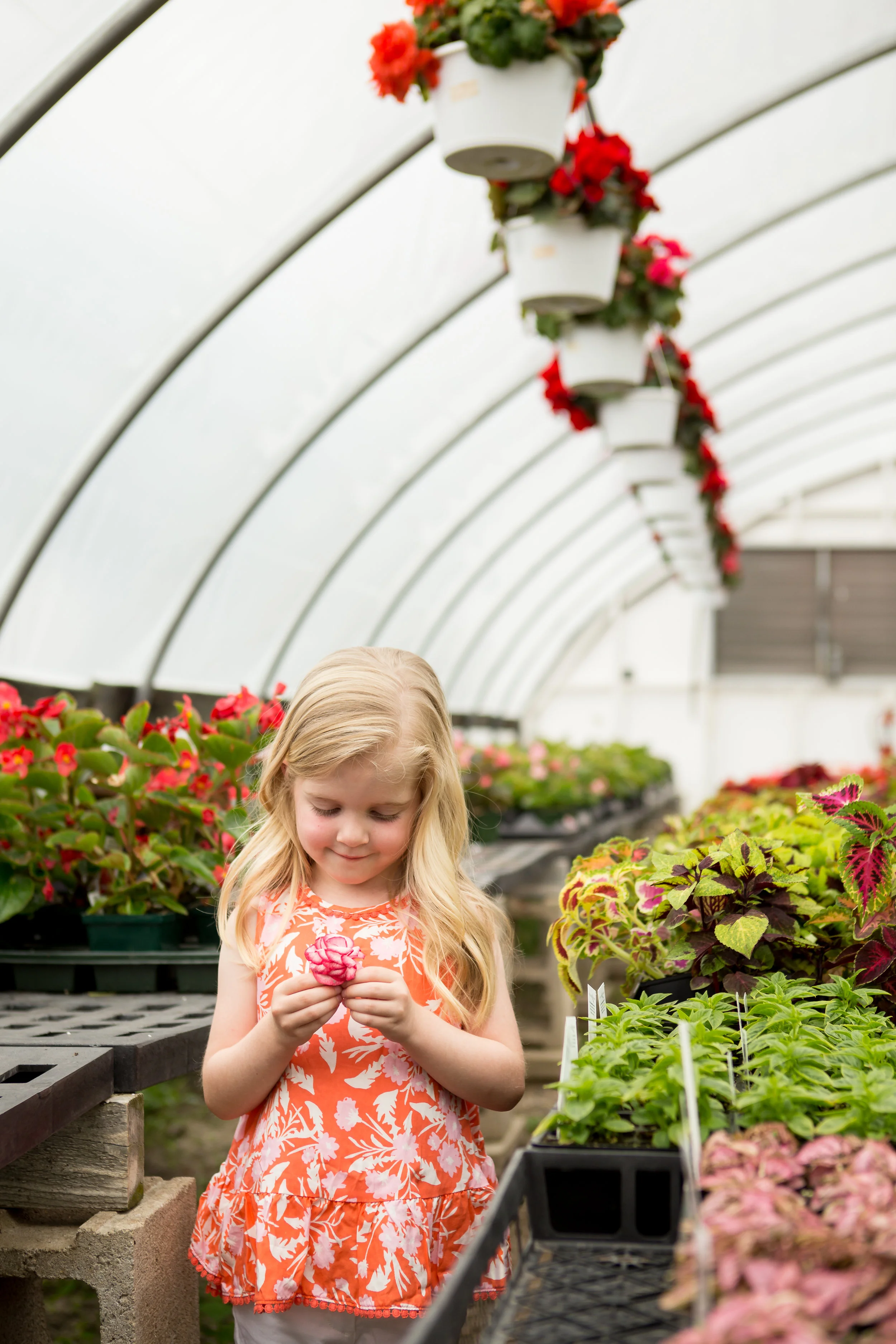 Ella + Olive's Greenhouse Session Boston Family Photographer