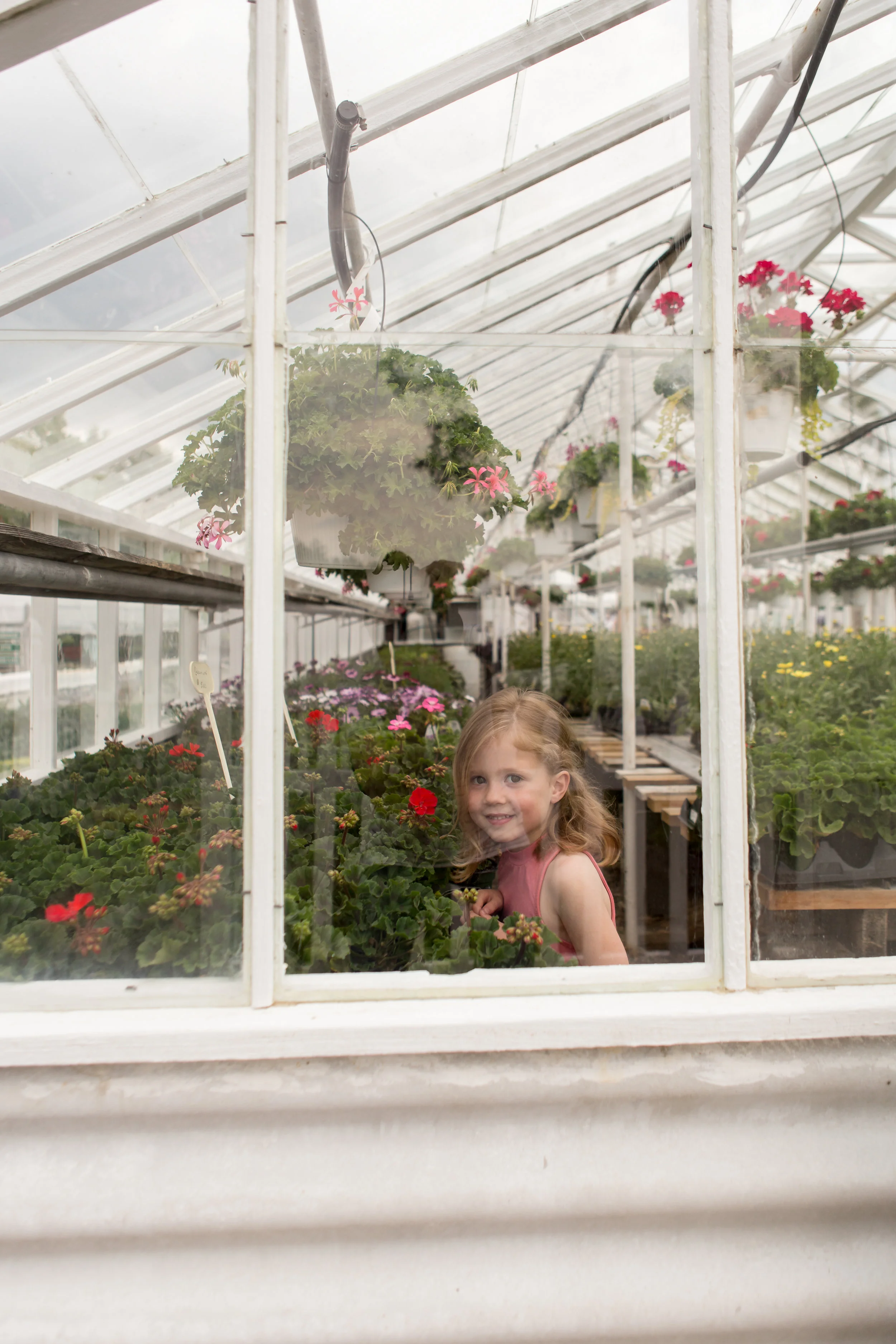 Ella + Olive's Greenhouse Session Boston Family Photographer