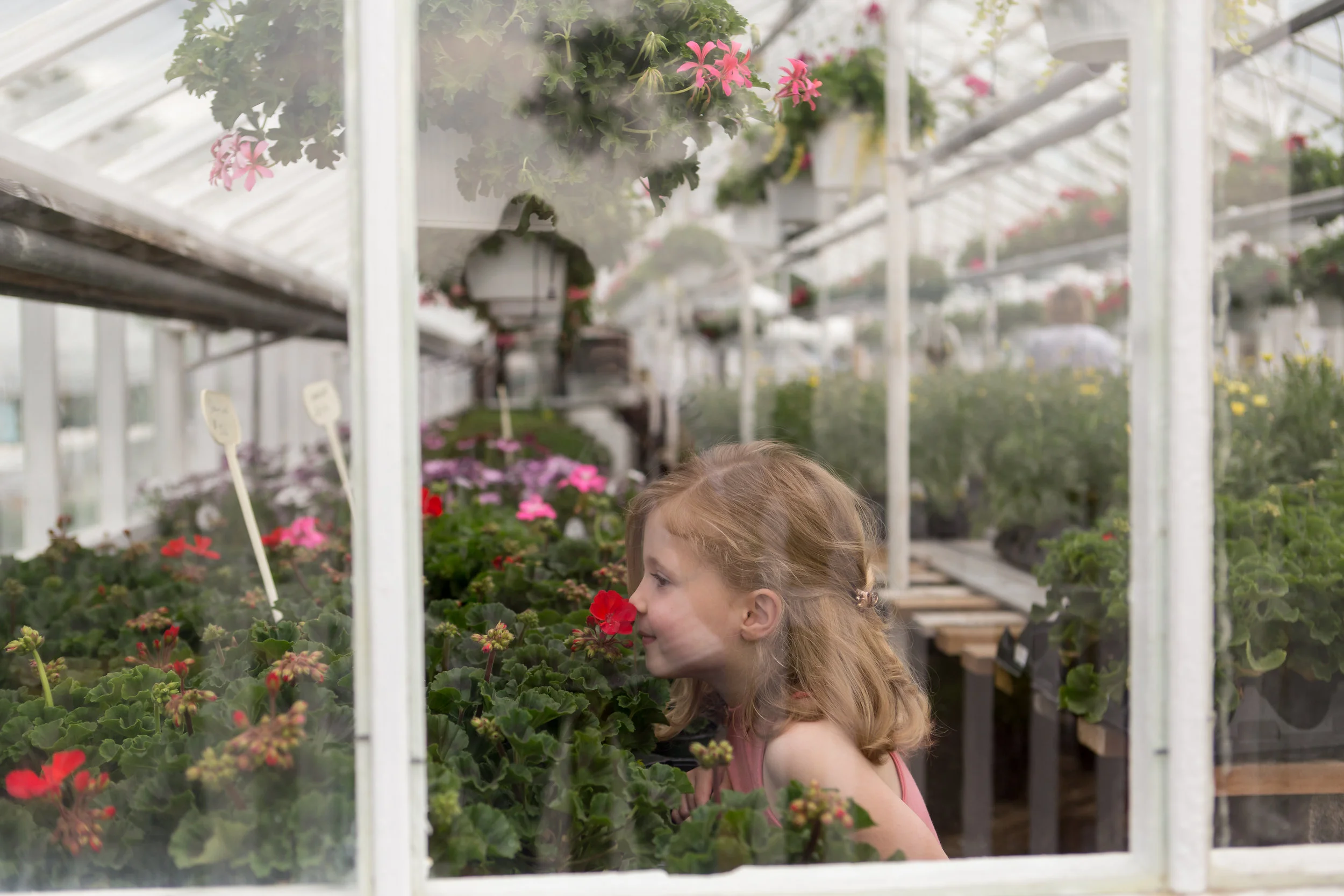 Ella + Olive's Greenhouse Session Boston Family Photographer