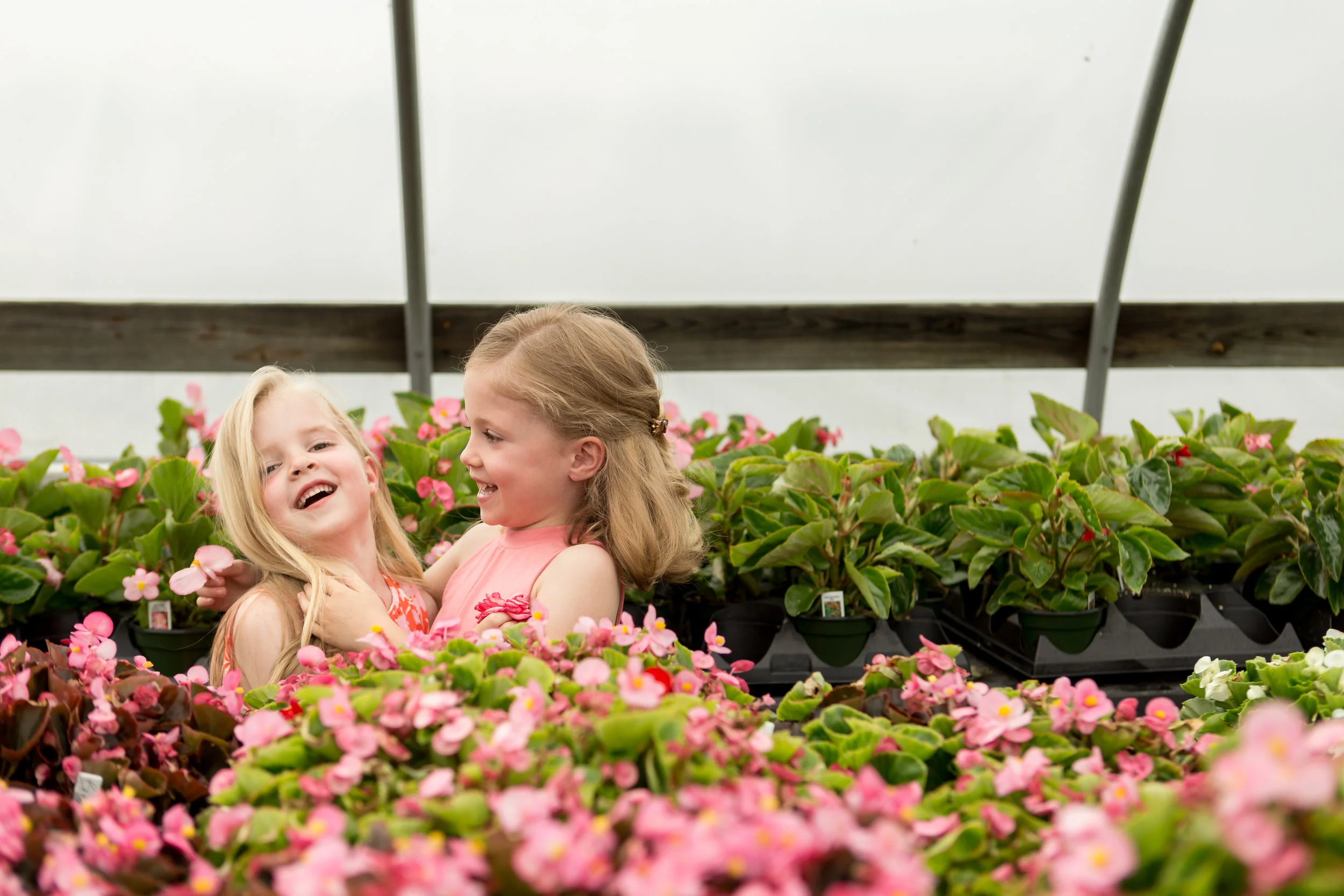 Ella + Olive's Greenhouse Session Boston Family Photographer