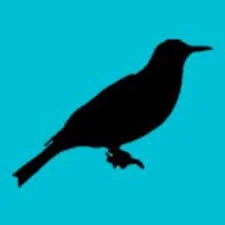 'American Dream' on the Bowerbird Series - Philadelphia, PA