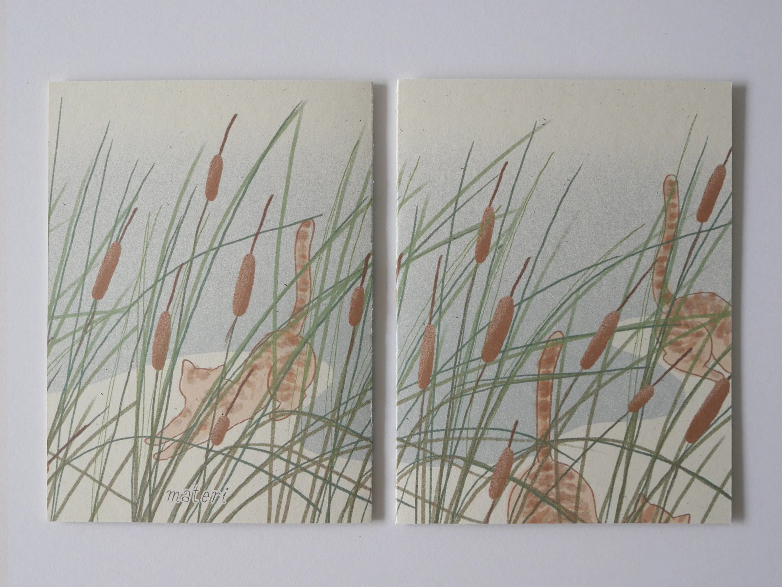 CatCon_Cattails.jpg