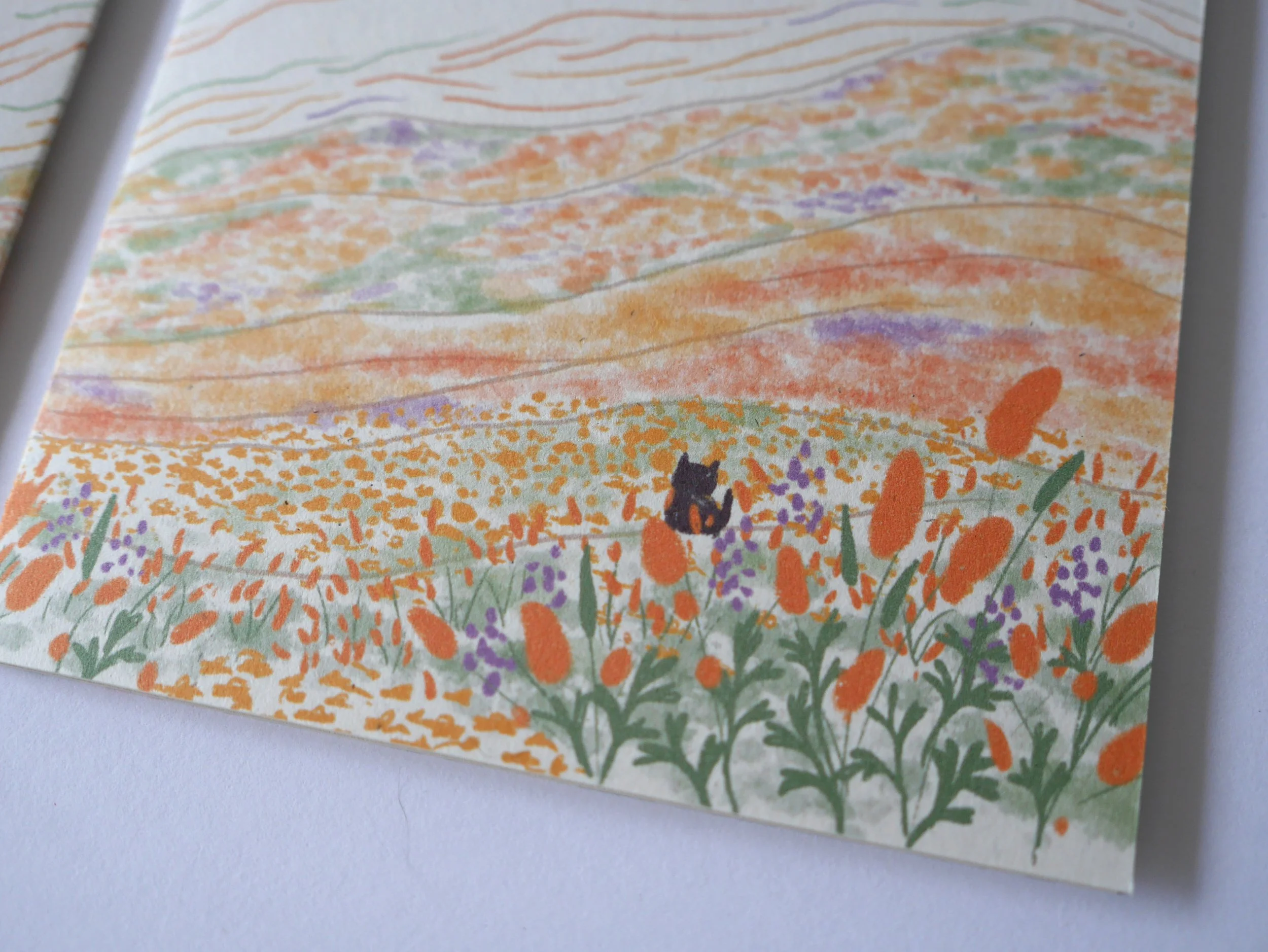 CatCon_Superbloom_Detail.jpg